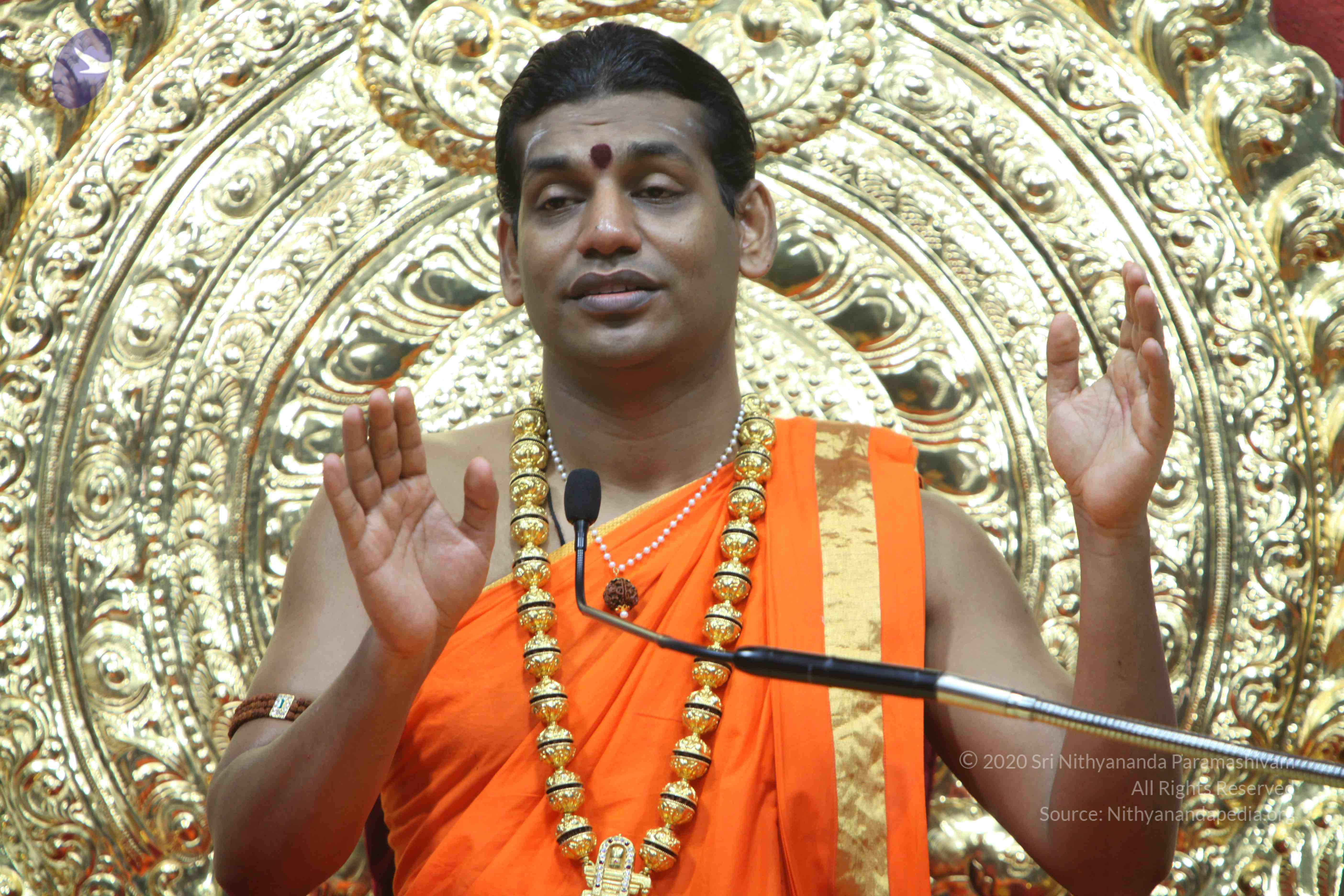 20110222_Photo_1343_IMG_9707_CMP_WM