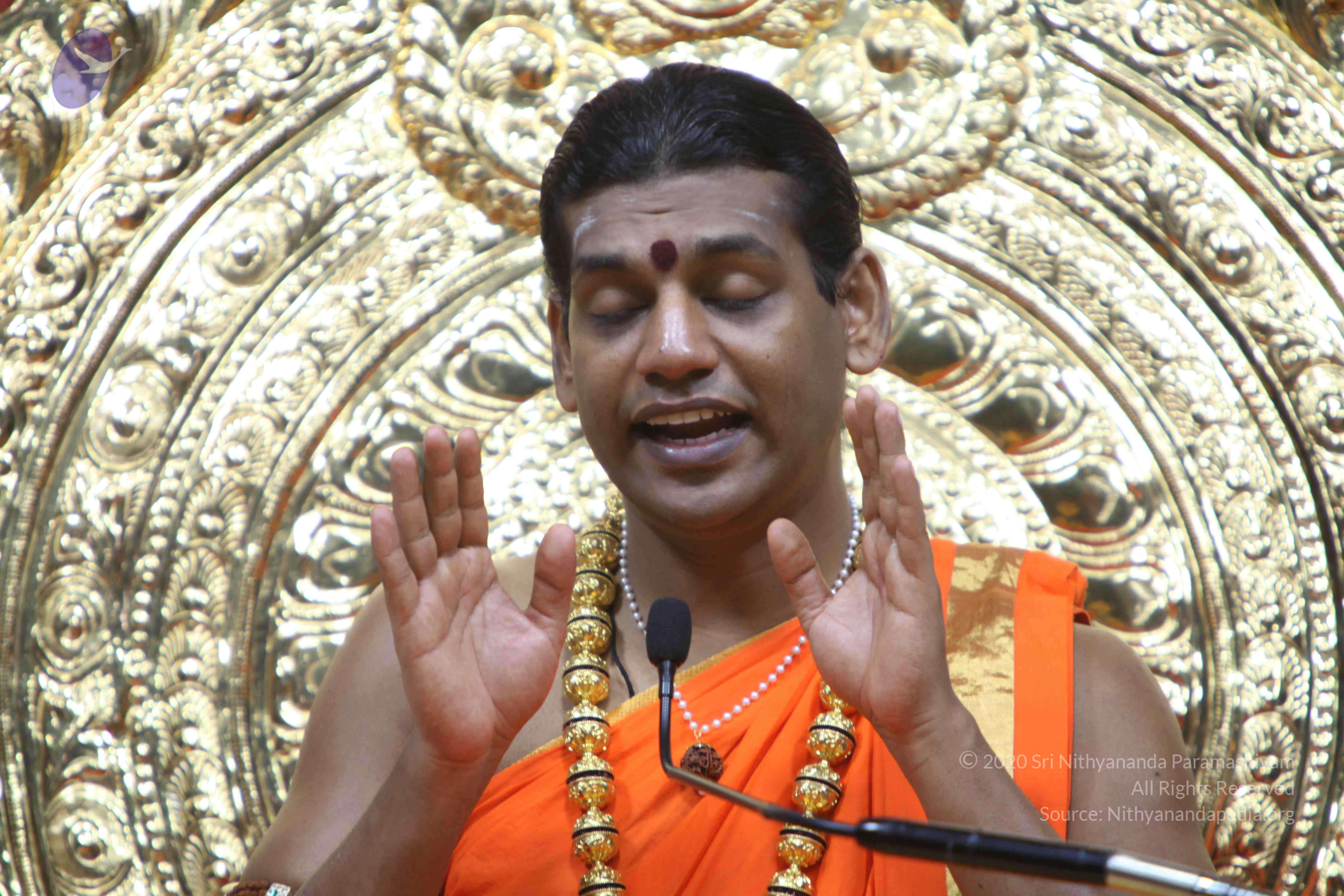 20110222_Photo_1346_IMG_9692_CMP_WM