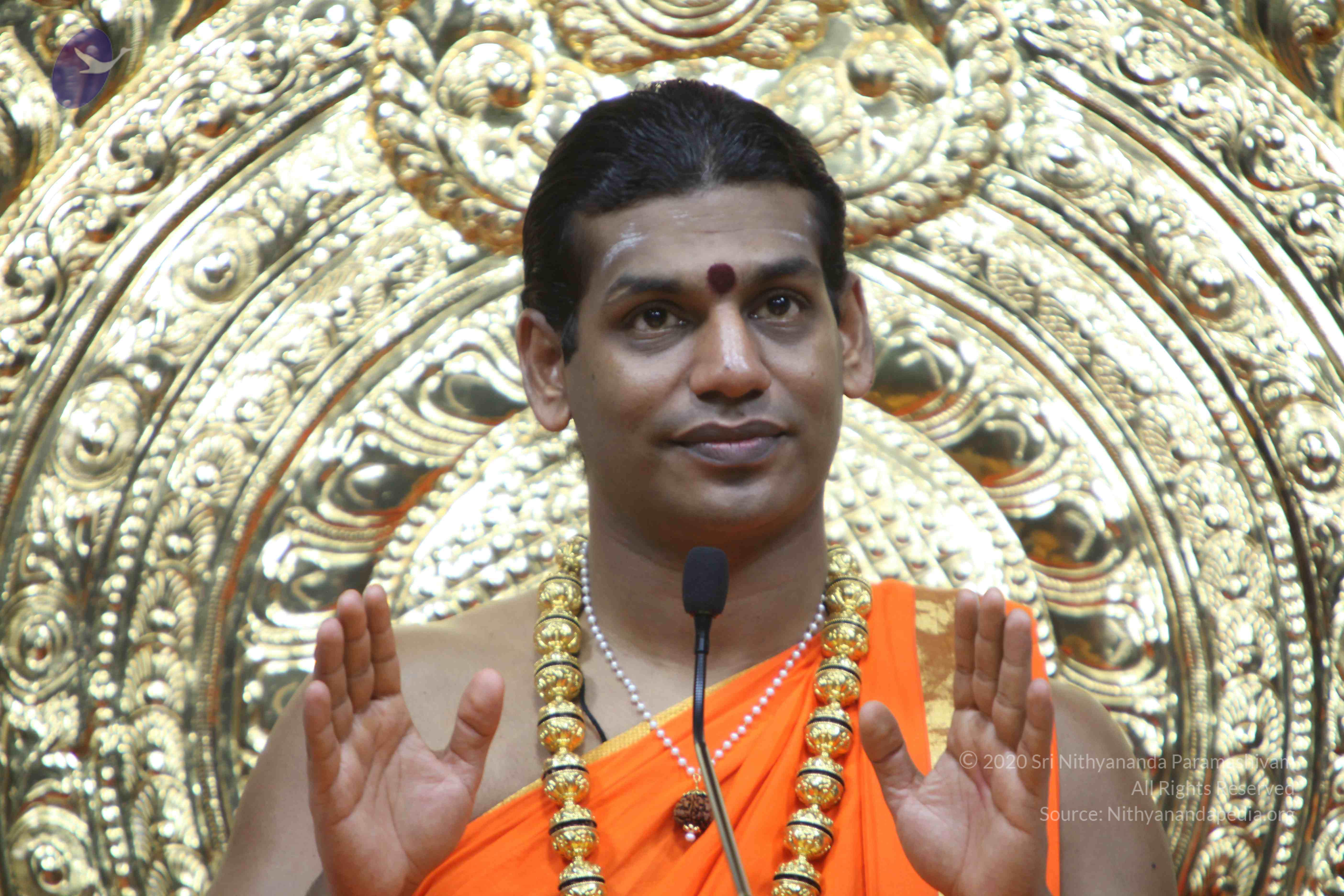 20110222_Photo_1355_IMG_9472_CMP_WM