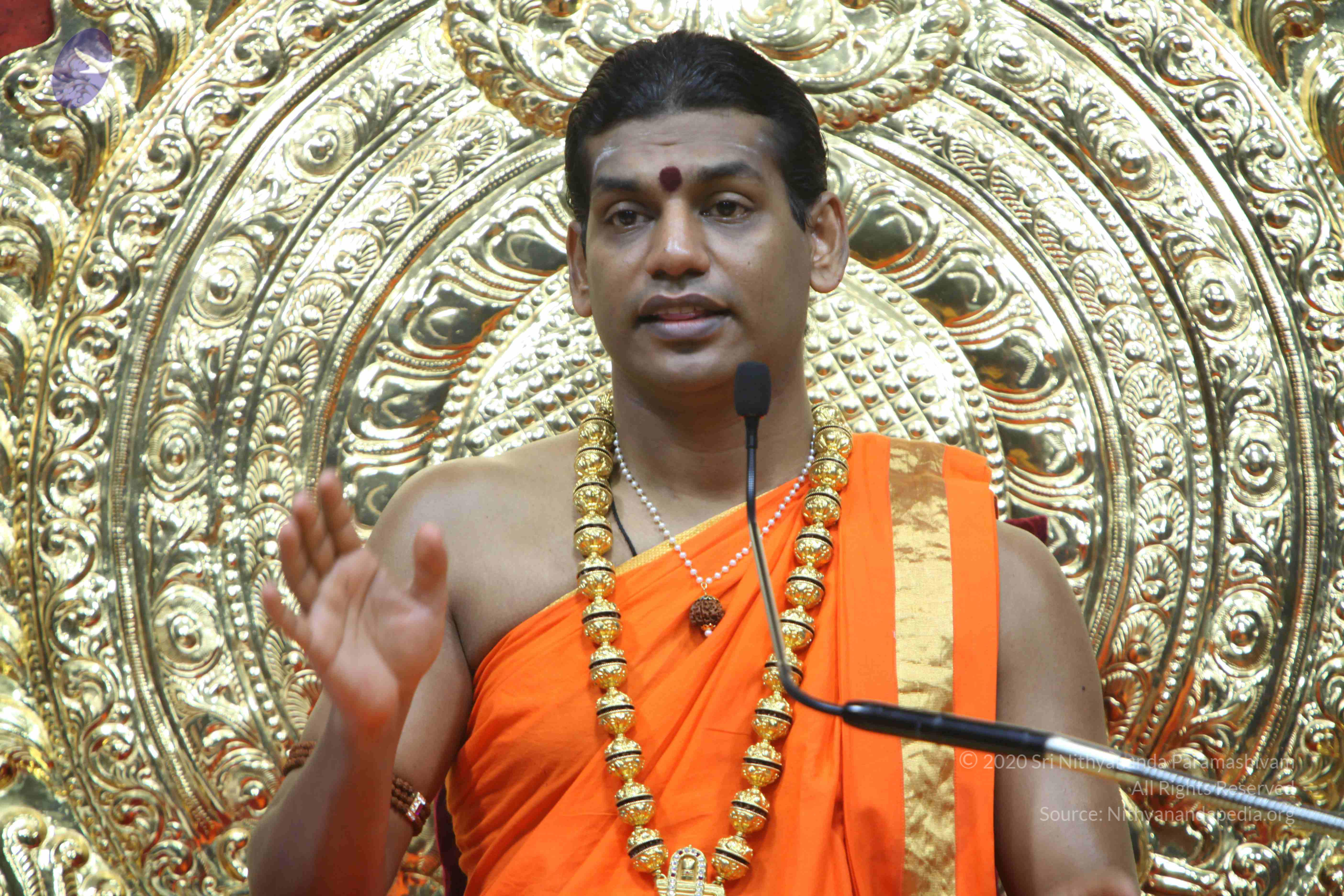 20110222_Photo_1362_IMG_9342_CMP_WM