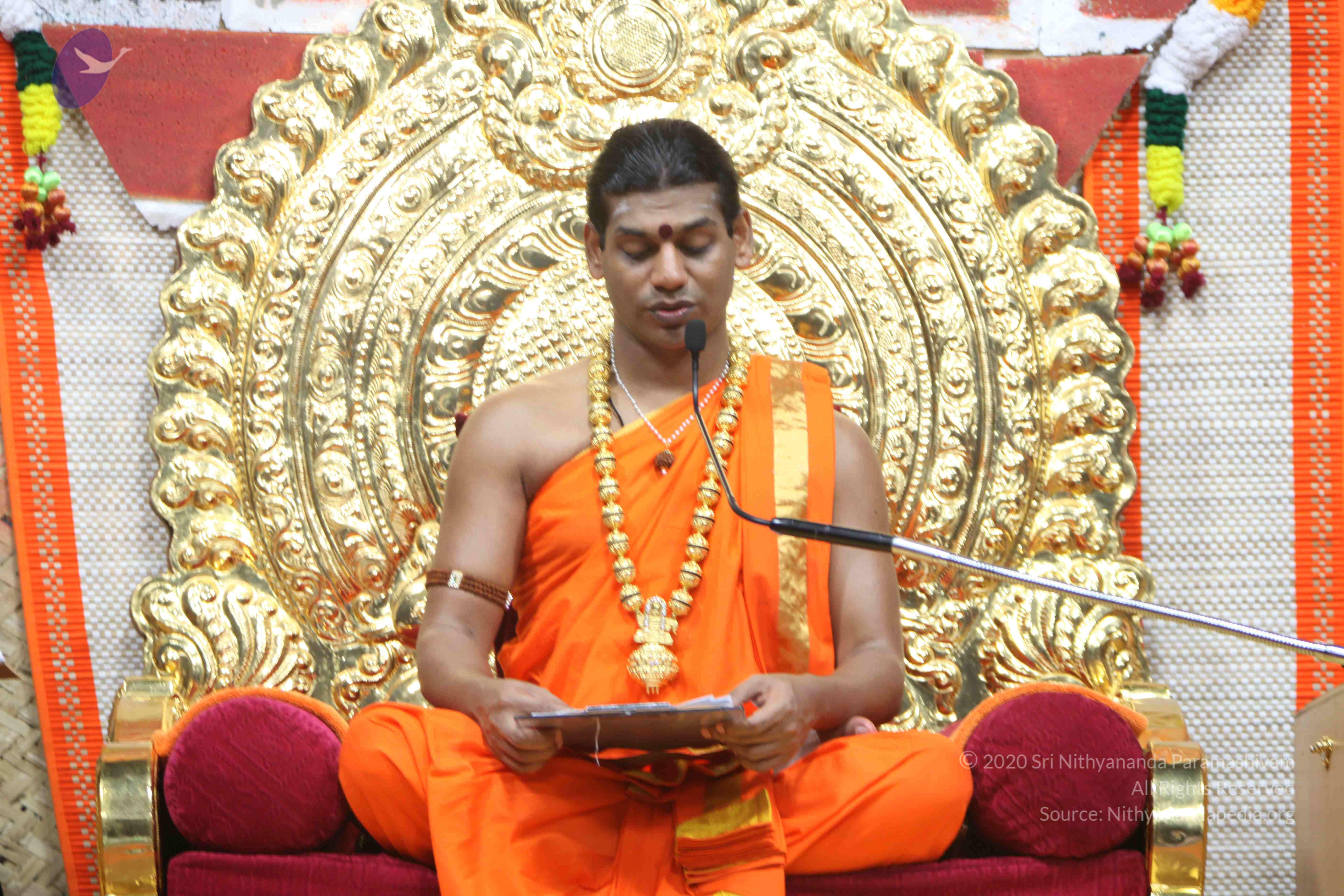 20110222_Photo_1369_IMG_9320_CMP_WM