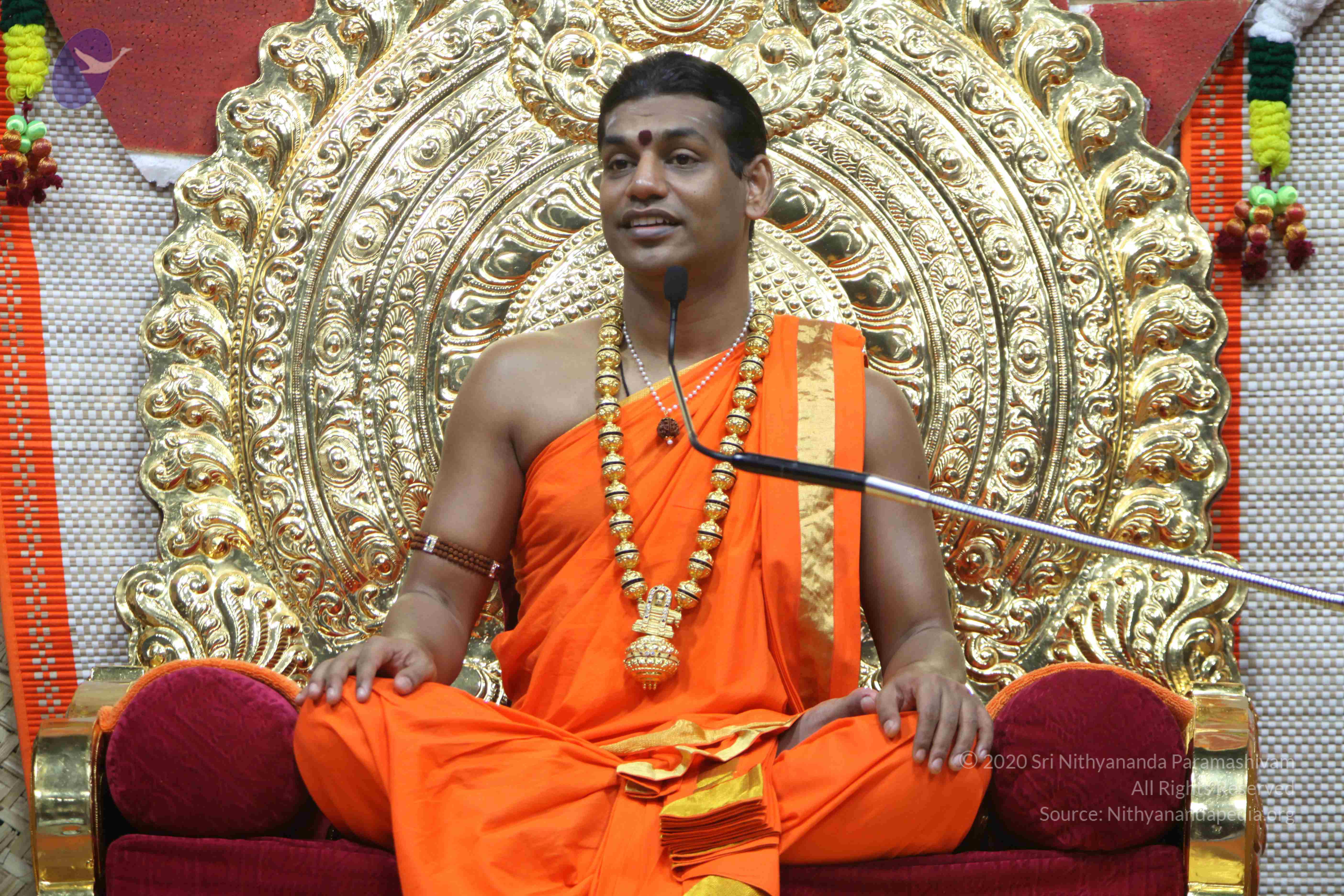 20110222_Photo_1376_IMG_9641_CMP_WM