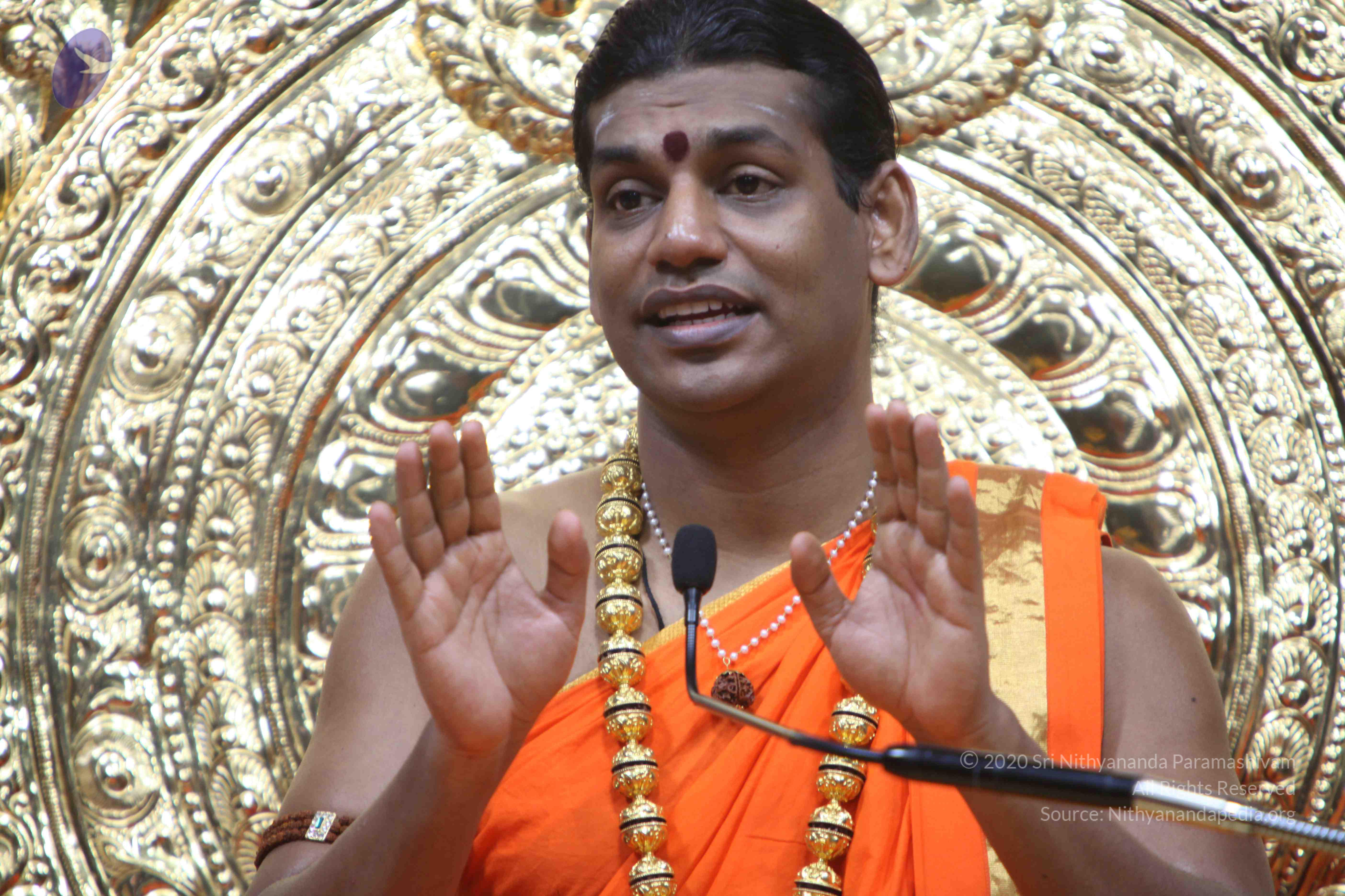 20110222_Photo_1380_IMG_9700_CMP_WM