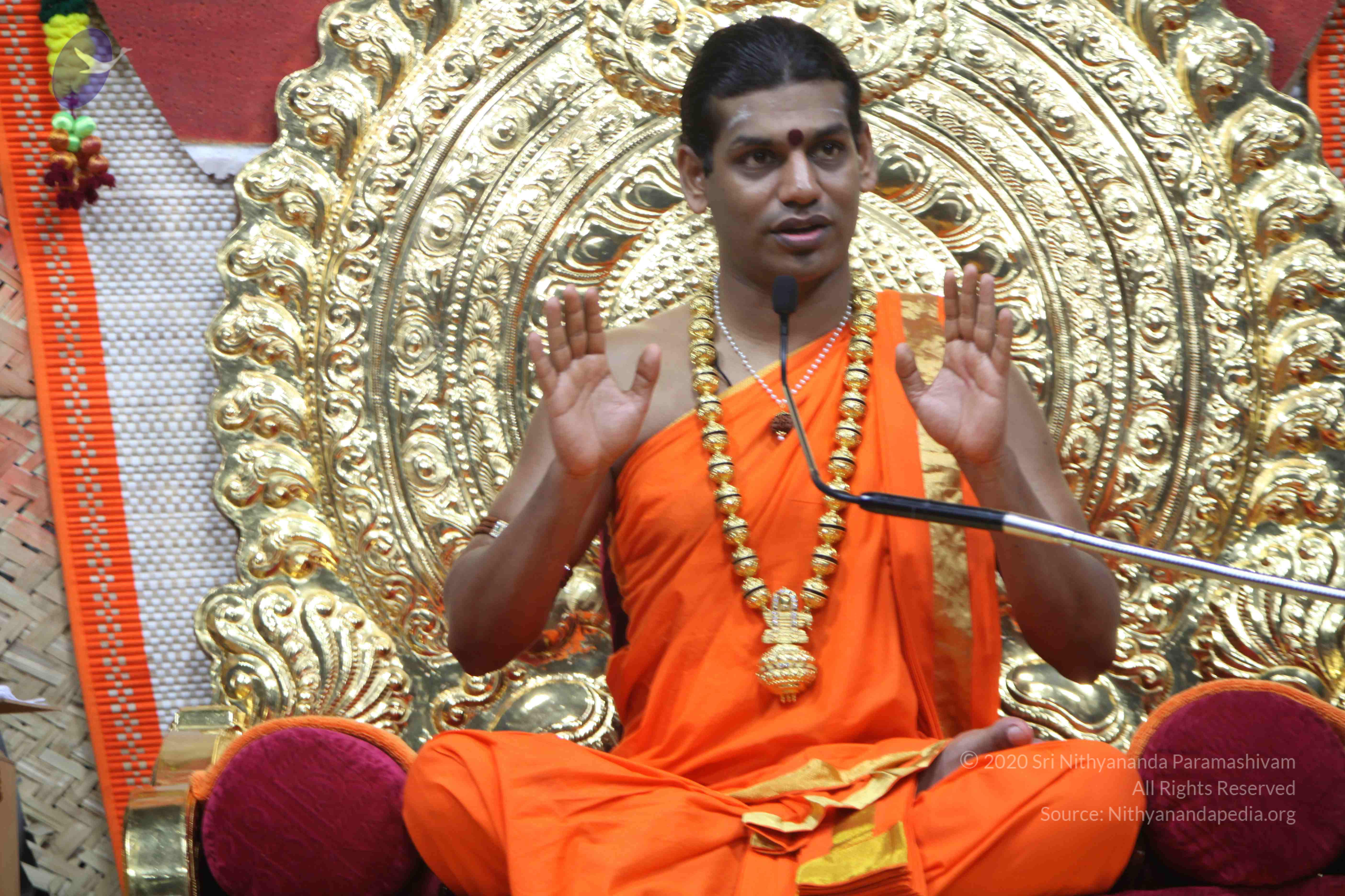 20110222_Photo_1381_IMG_9469_CMP_WM