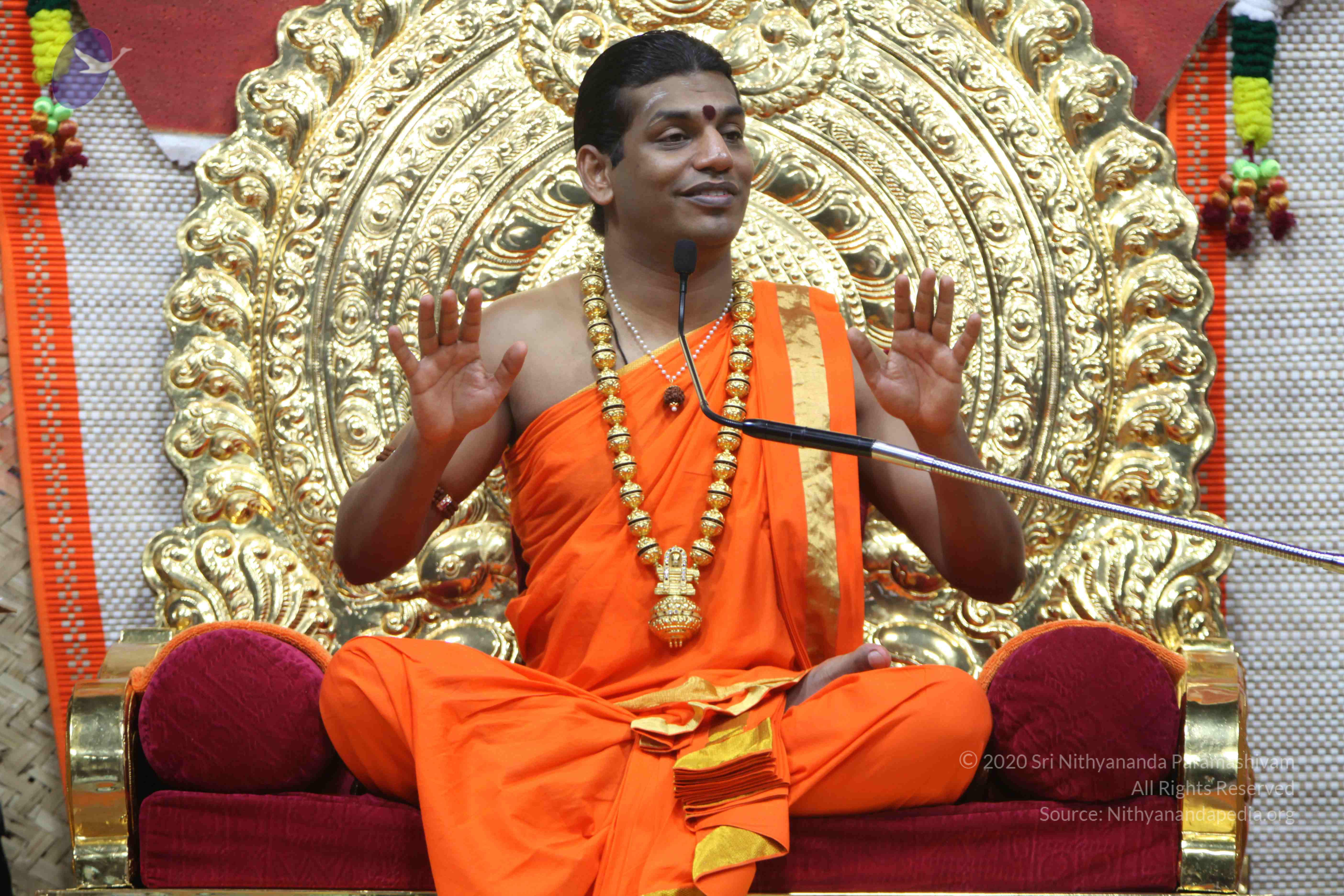 20110222_Photo_1382_IMG_9614_CMP_WM