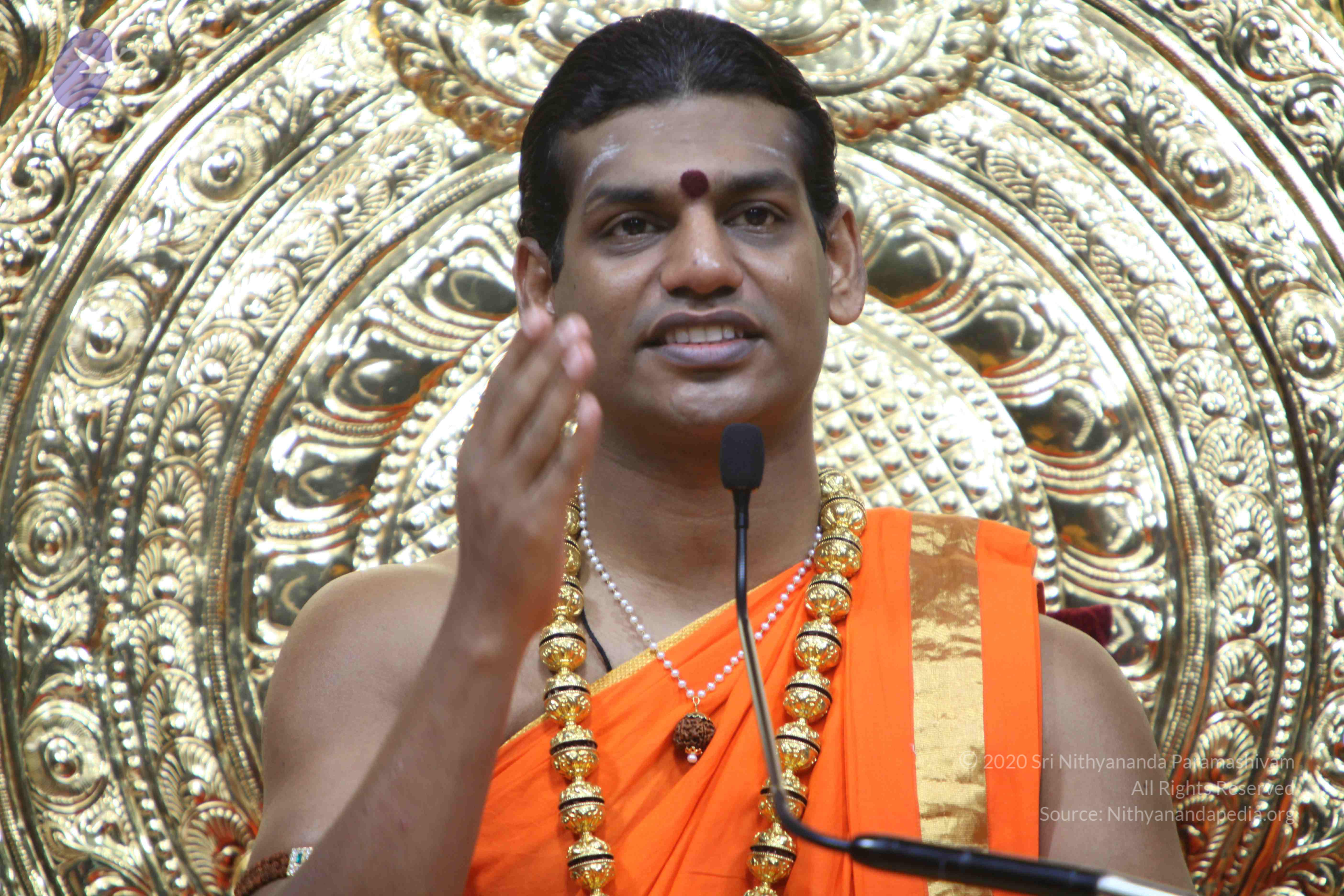 20110222_Photo_1387_IMG_9396_CMP_WM