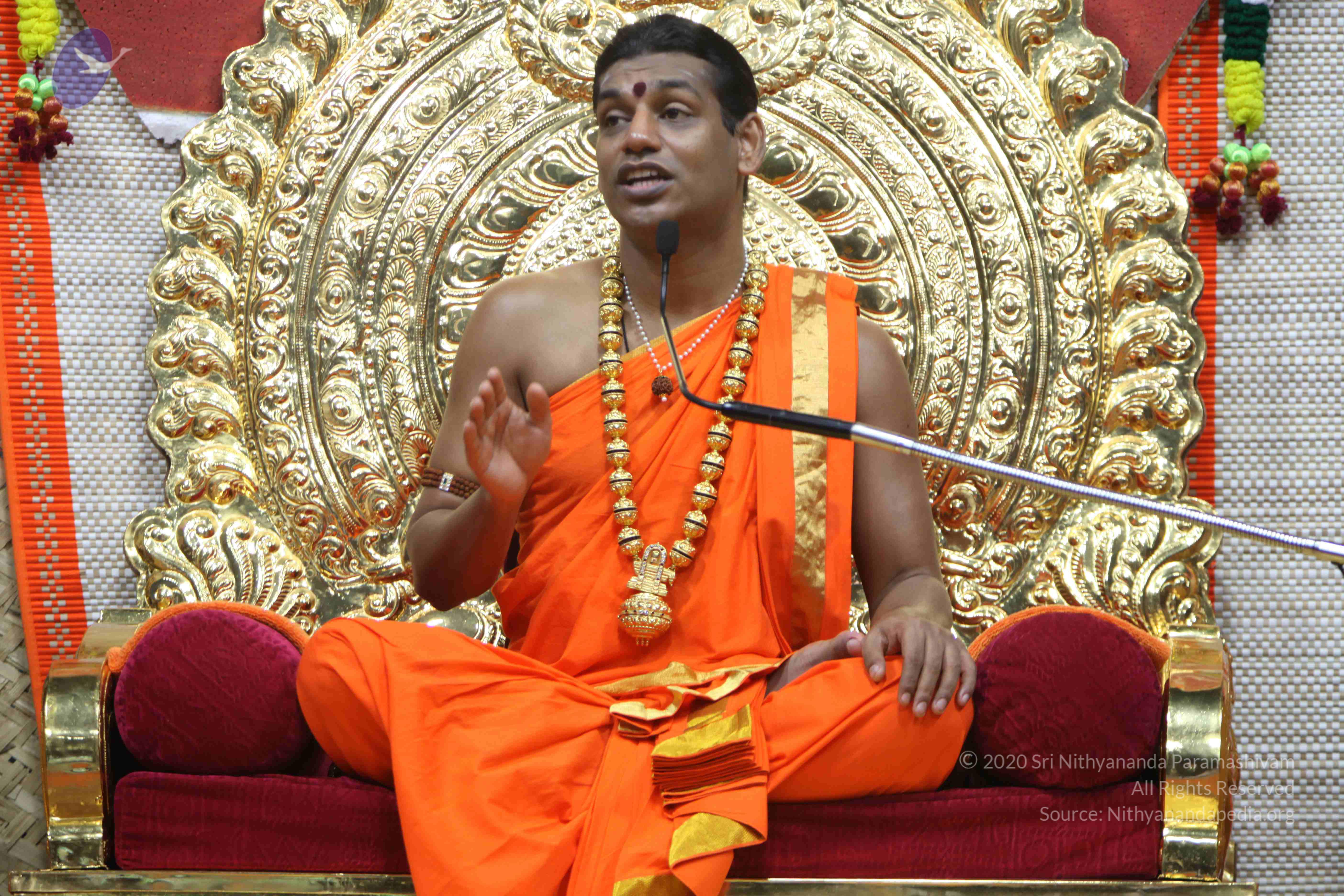 20110222_Photo_1398_IMG_9650_CMP_WM