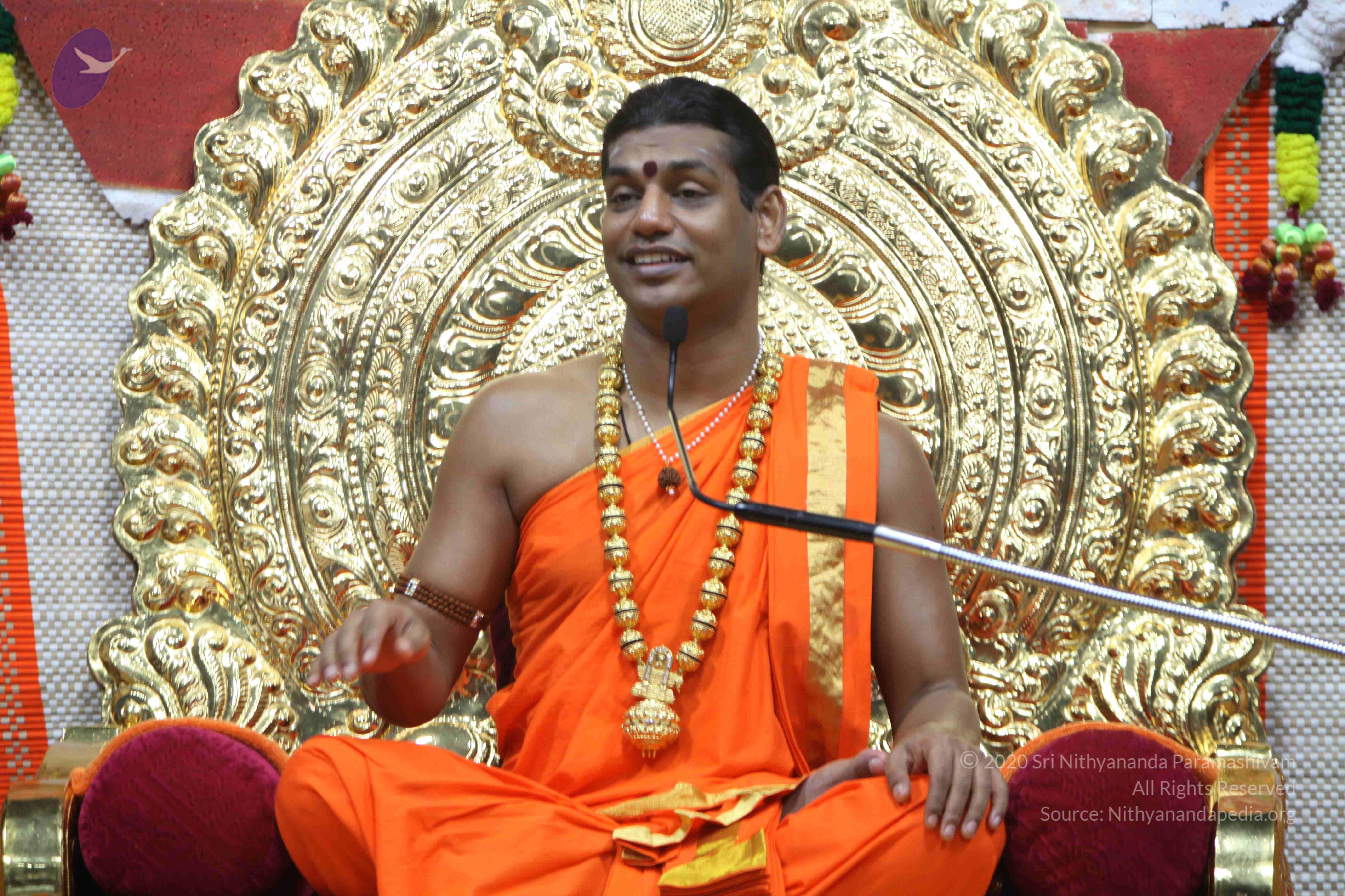 20110222_Photo_1420_IMG_9637_CMP_WM