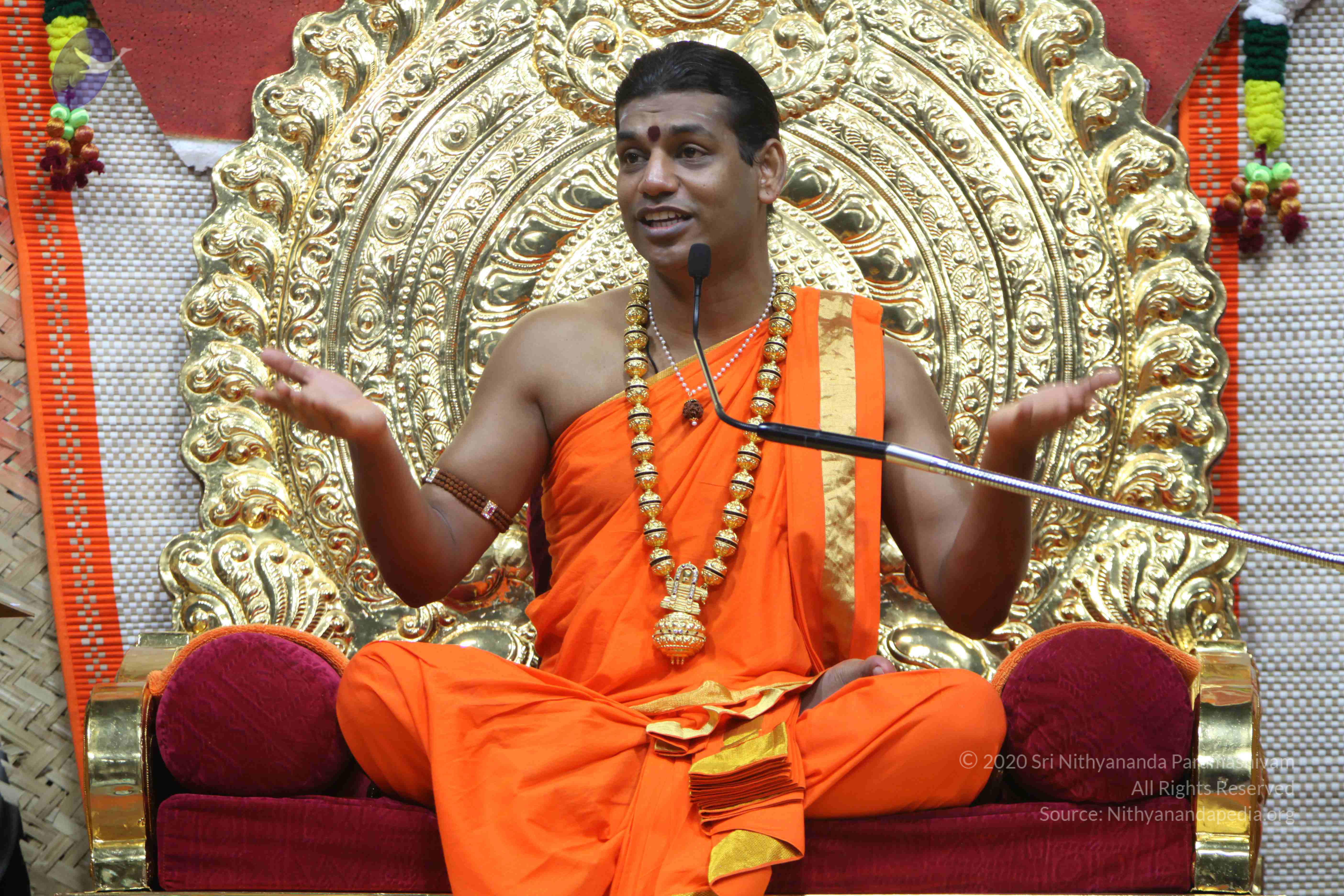 20110222_Photo_1422_IMG_9600_CMP_WM