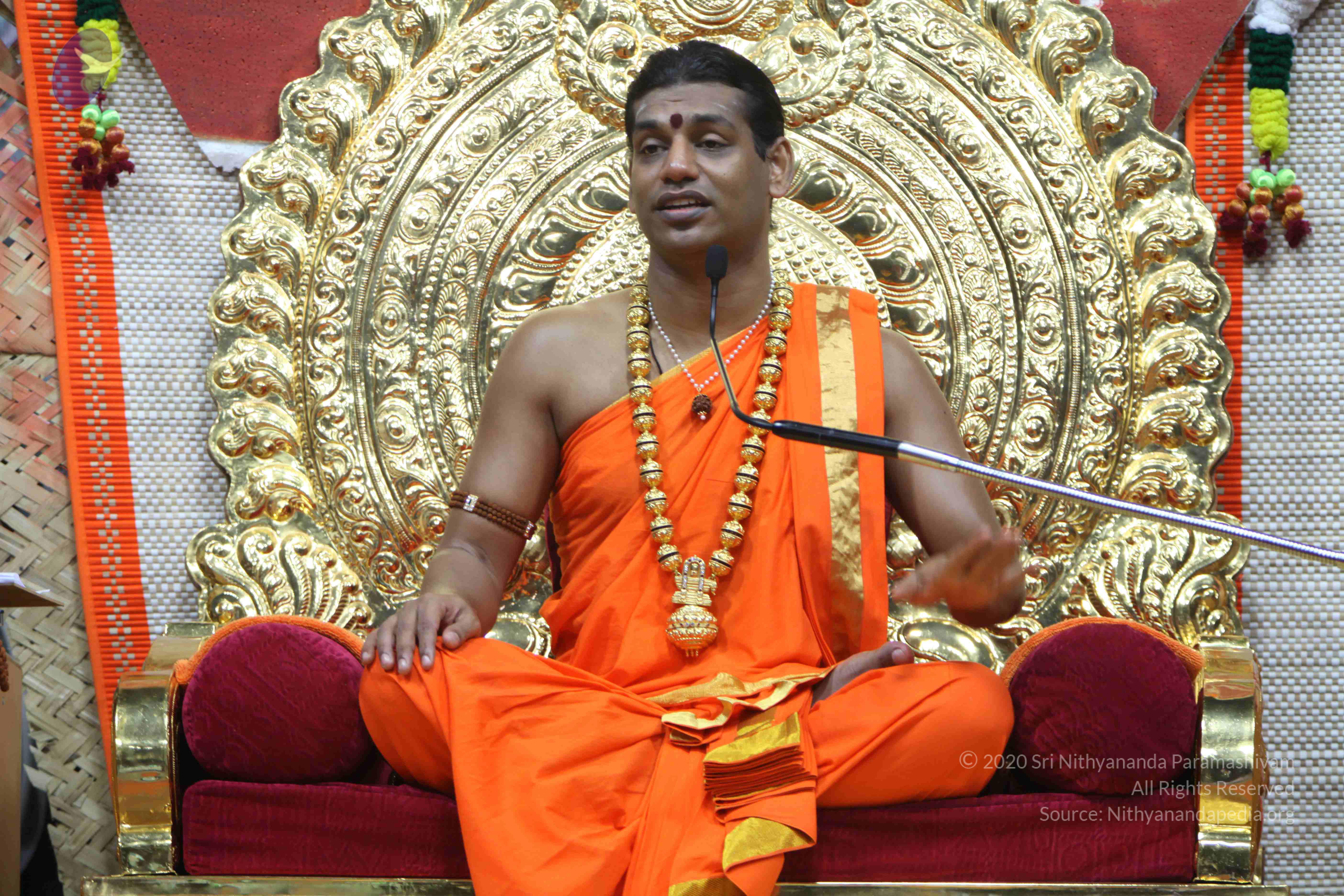 20110222_Photo_1431_IMG_9596_CMP_WM