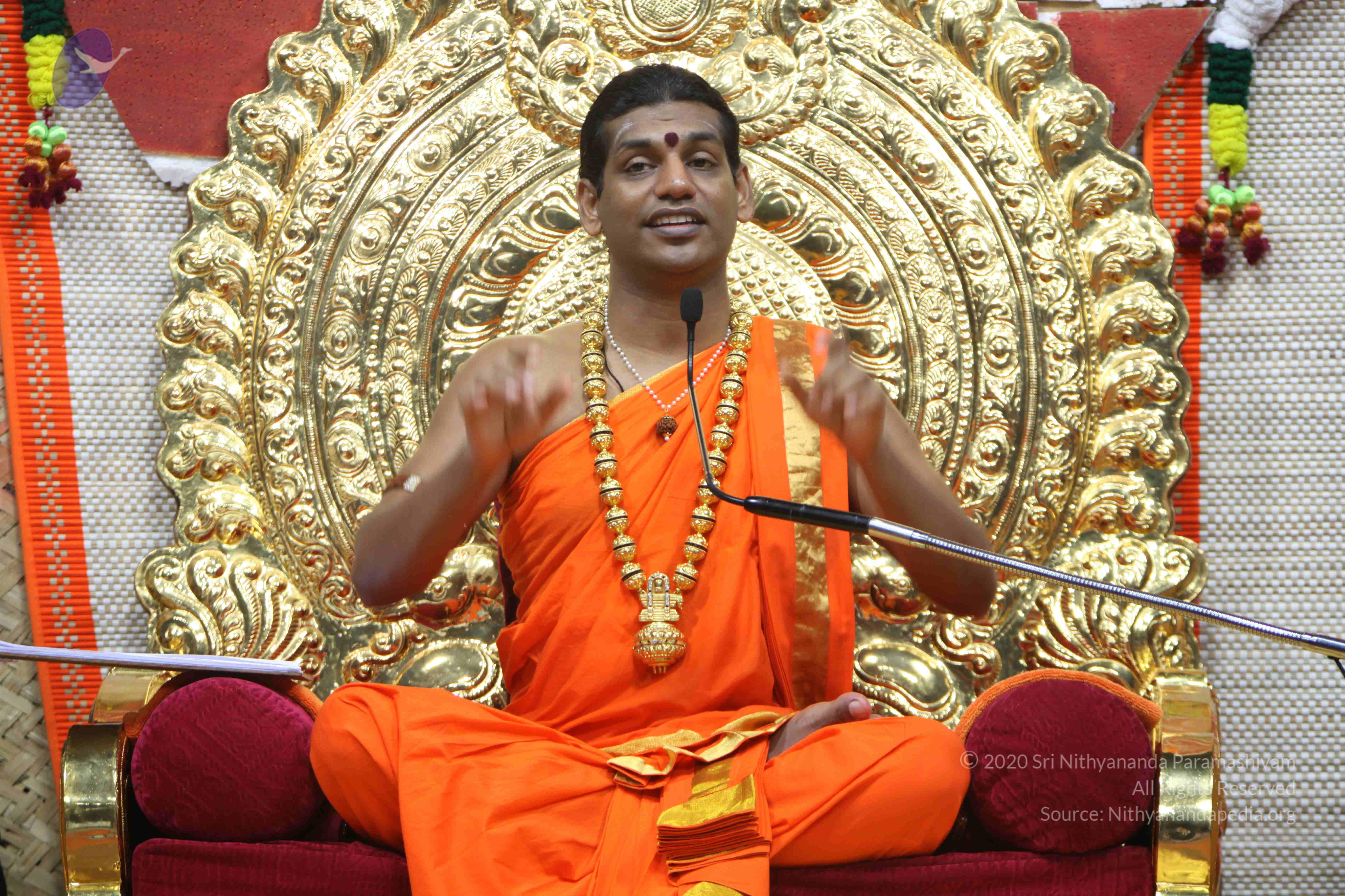 20110222_Photo_1436_IMG_9361_CMP_WM