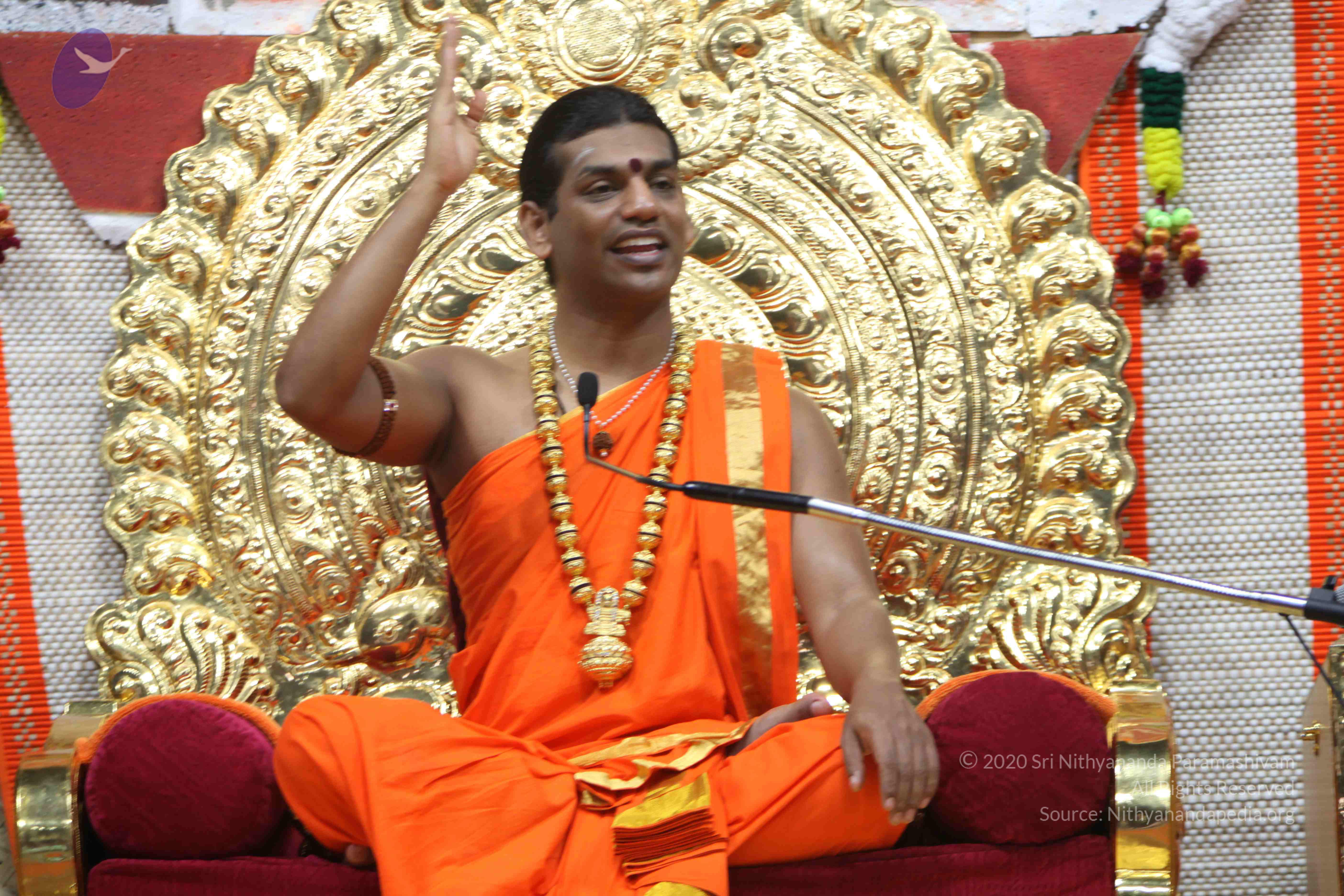 20110222_Photo_1442_IMG_9795_CMP_WM