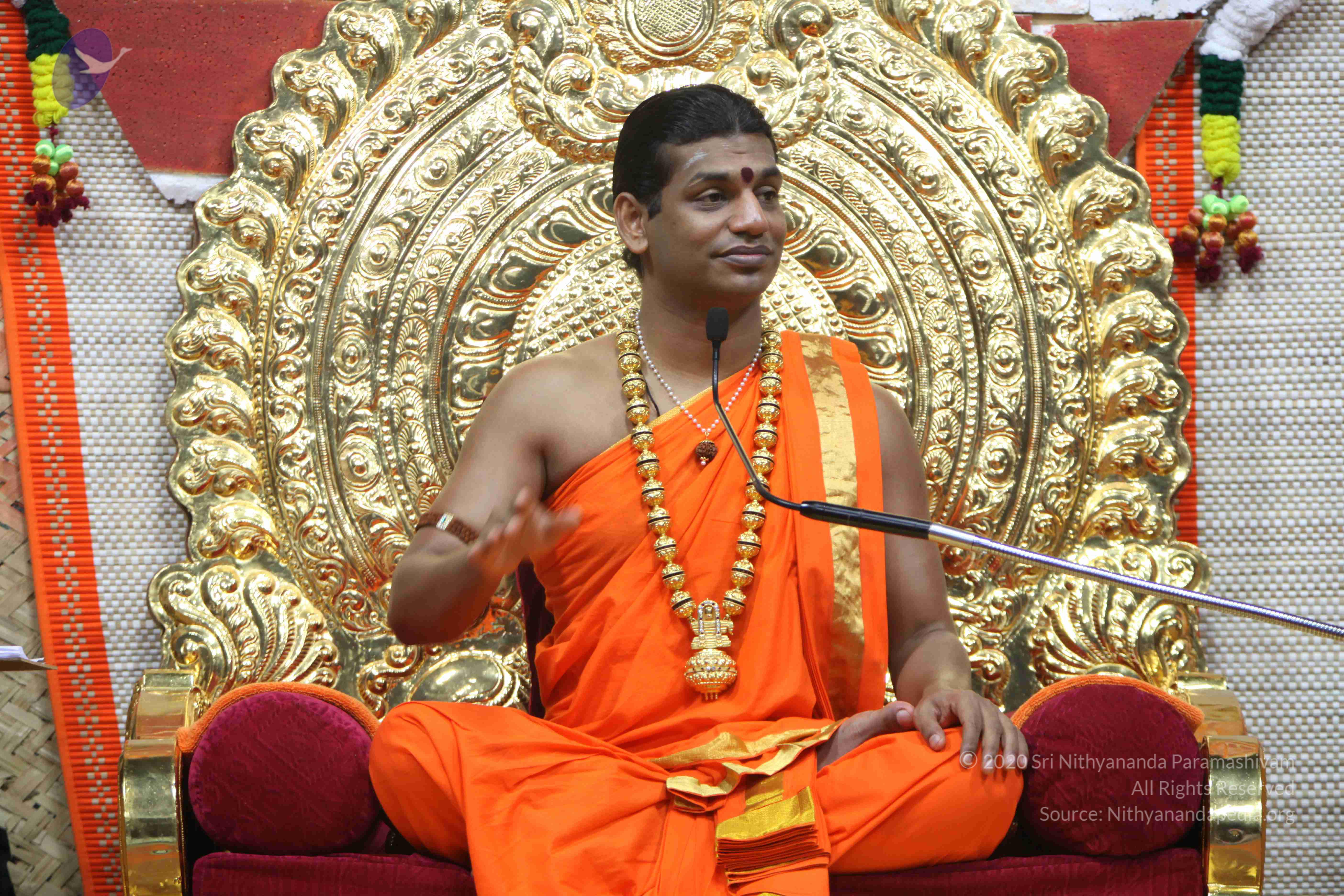 20110222_Photo_1460_IMG_9587_CMP_WM