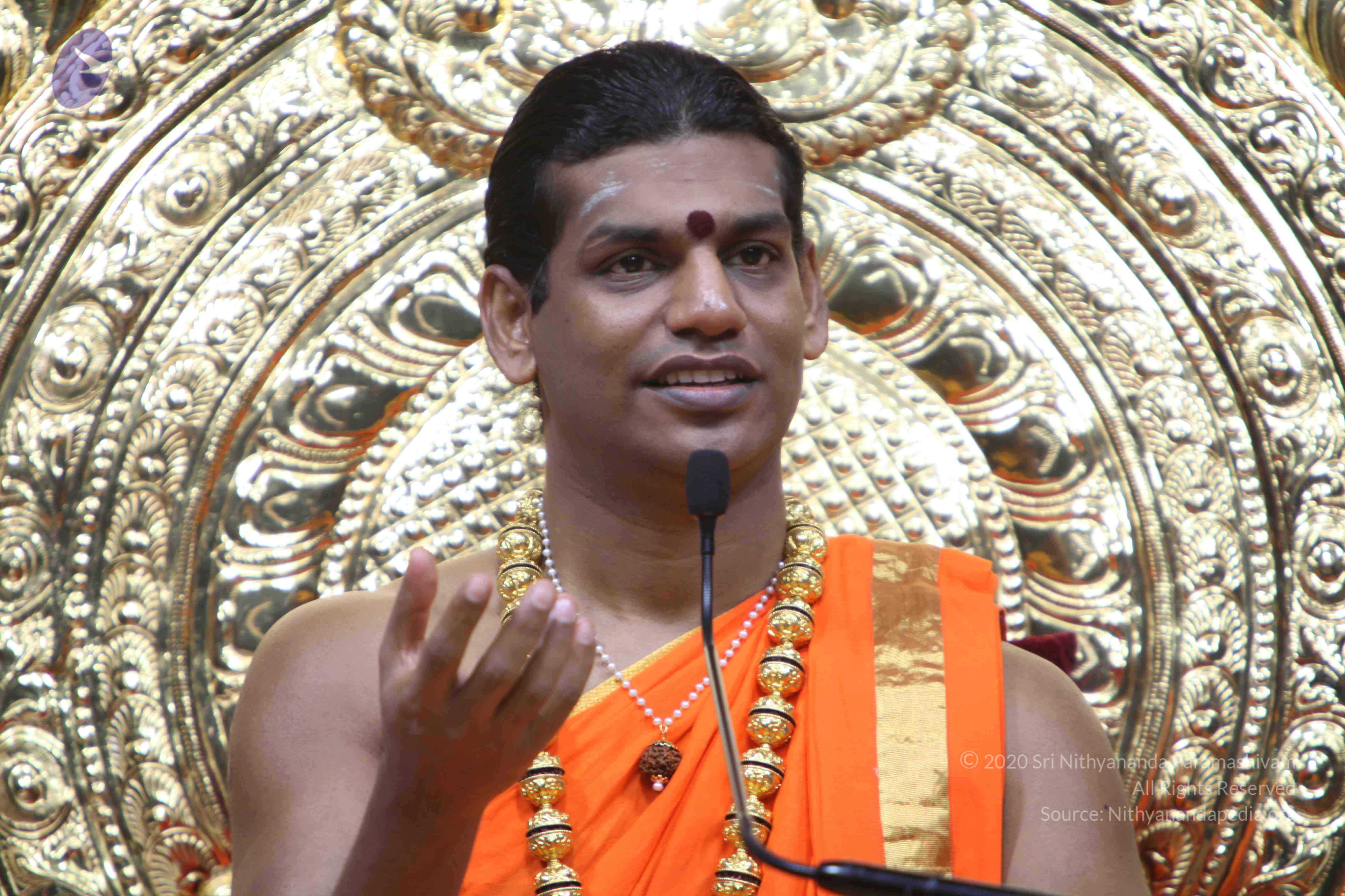 20110222_Photo_1463_IMG_9393_CMP_WM