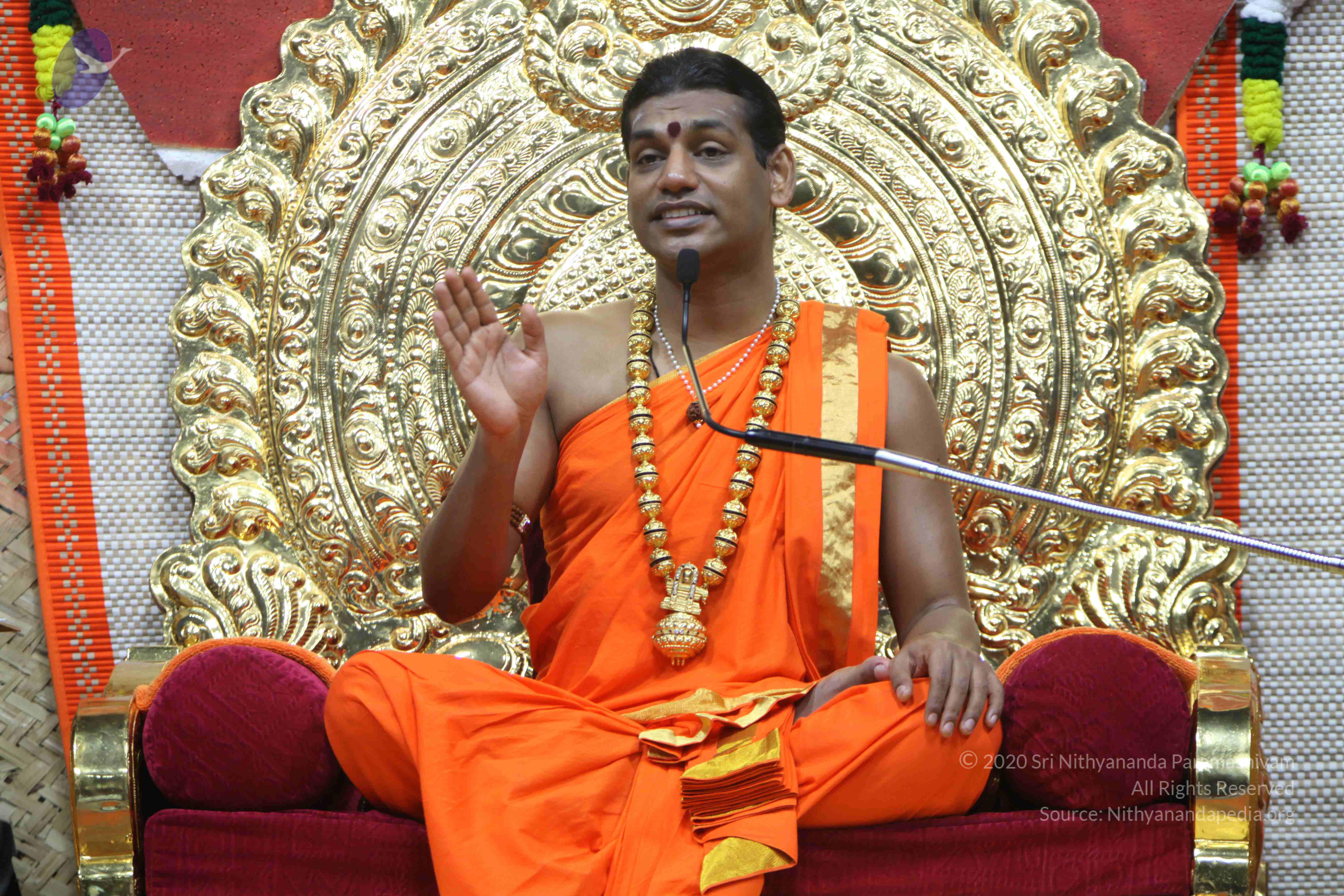 20110222_Photo_1466_IMG_9644_CMP_WM