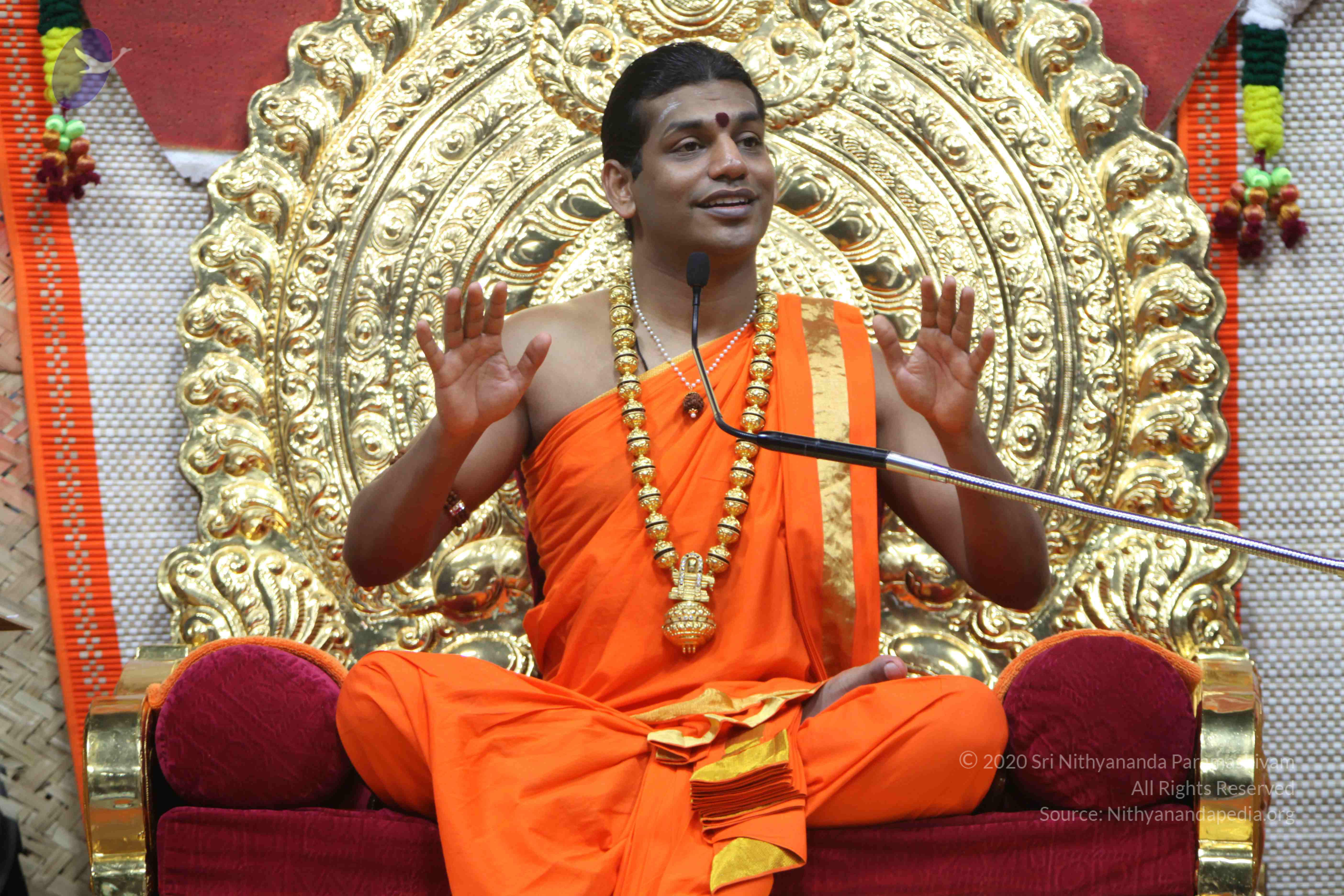 20110222_Photo_1470_IMG_9611_CMP_WM