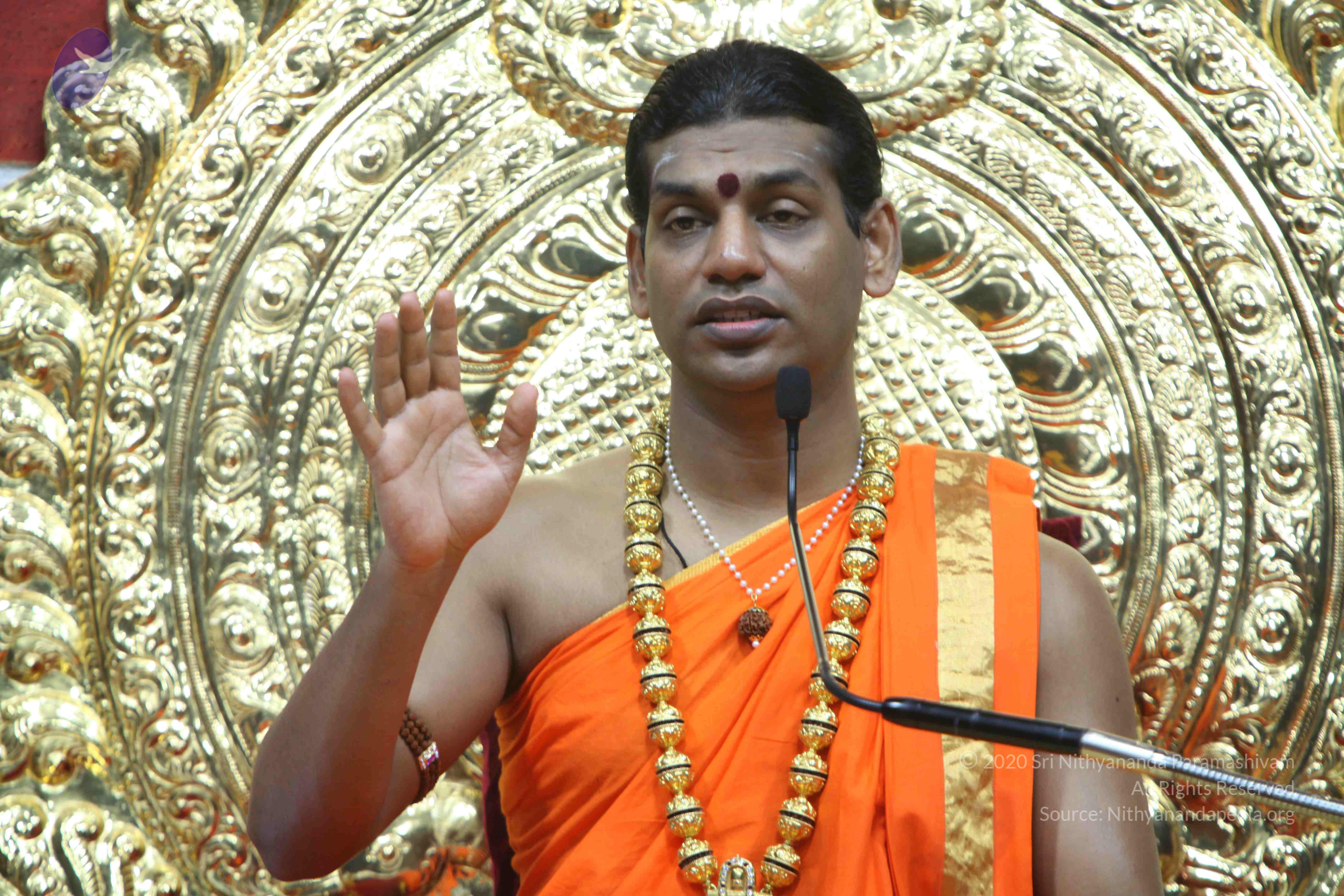 20110222_Photo_1471_IMG_9339_CMP_WM