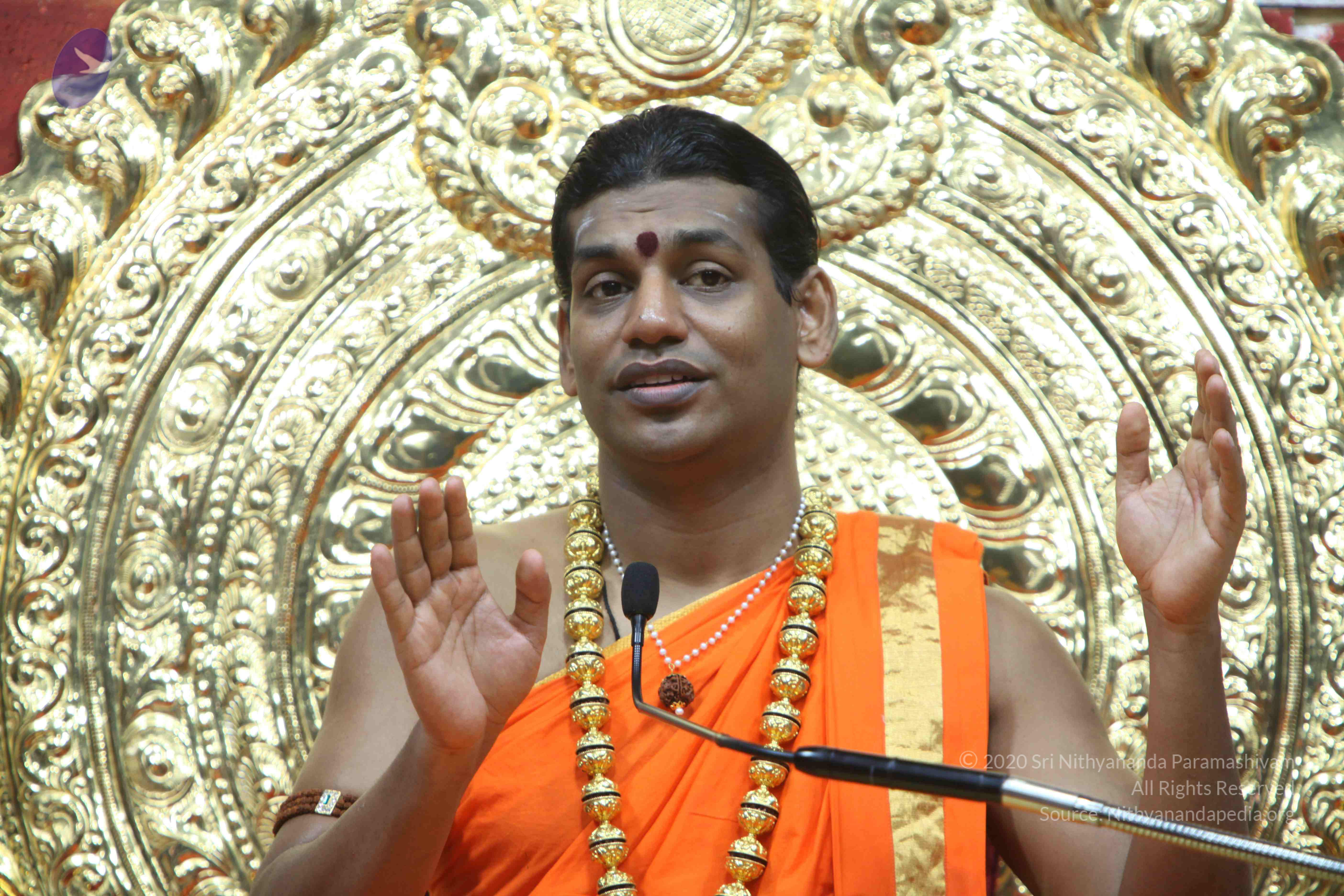 20110222_Photo_1472_IMG_9705_CMP_WM