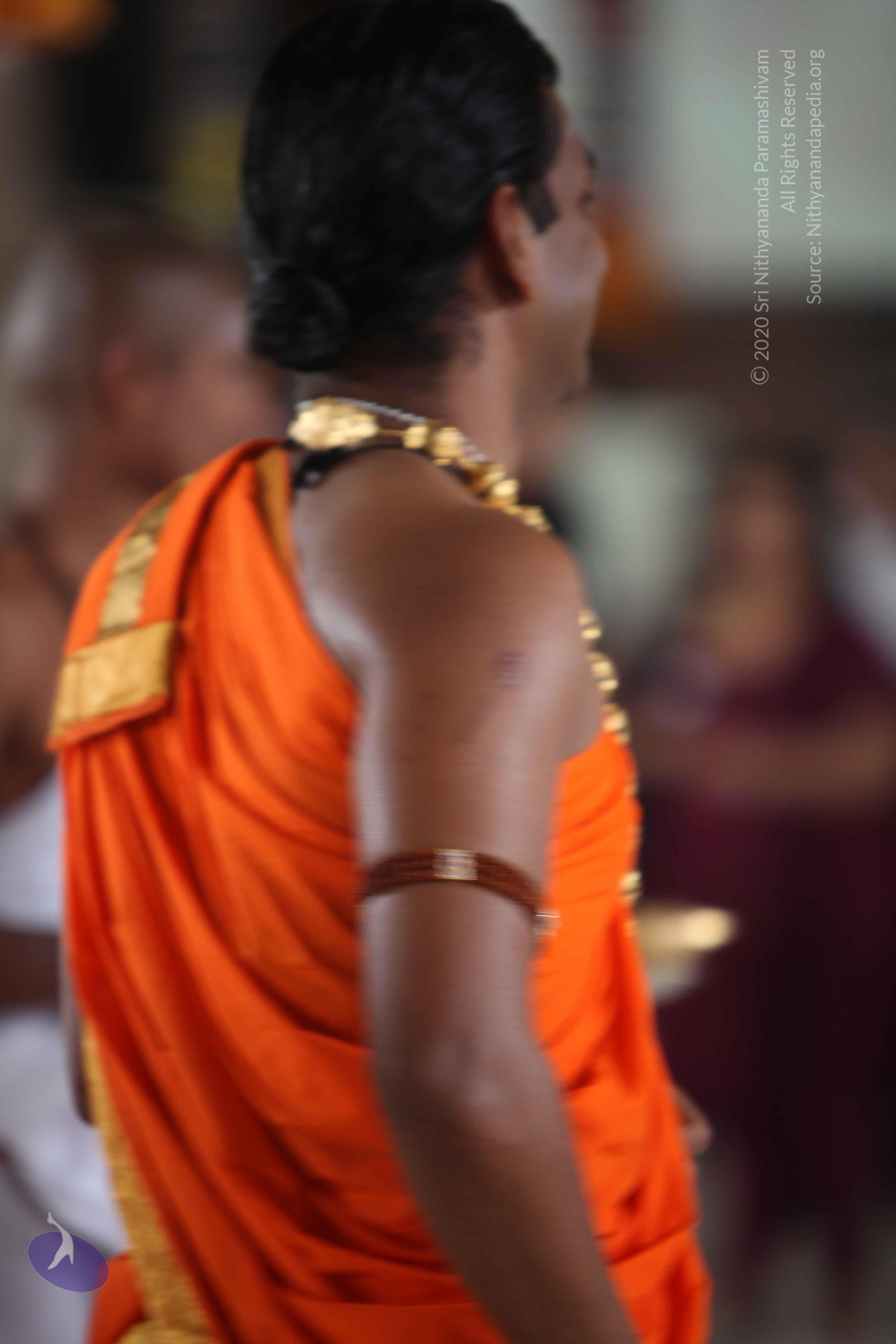 20110222_Photo_1023_IMG_9867_CMP_WM