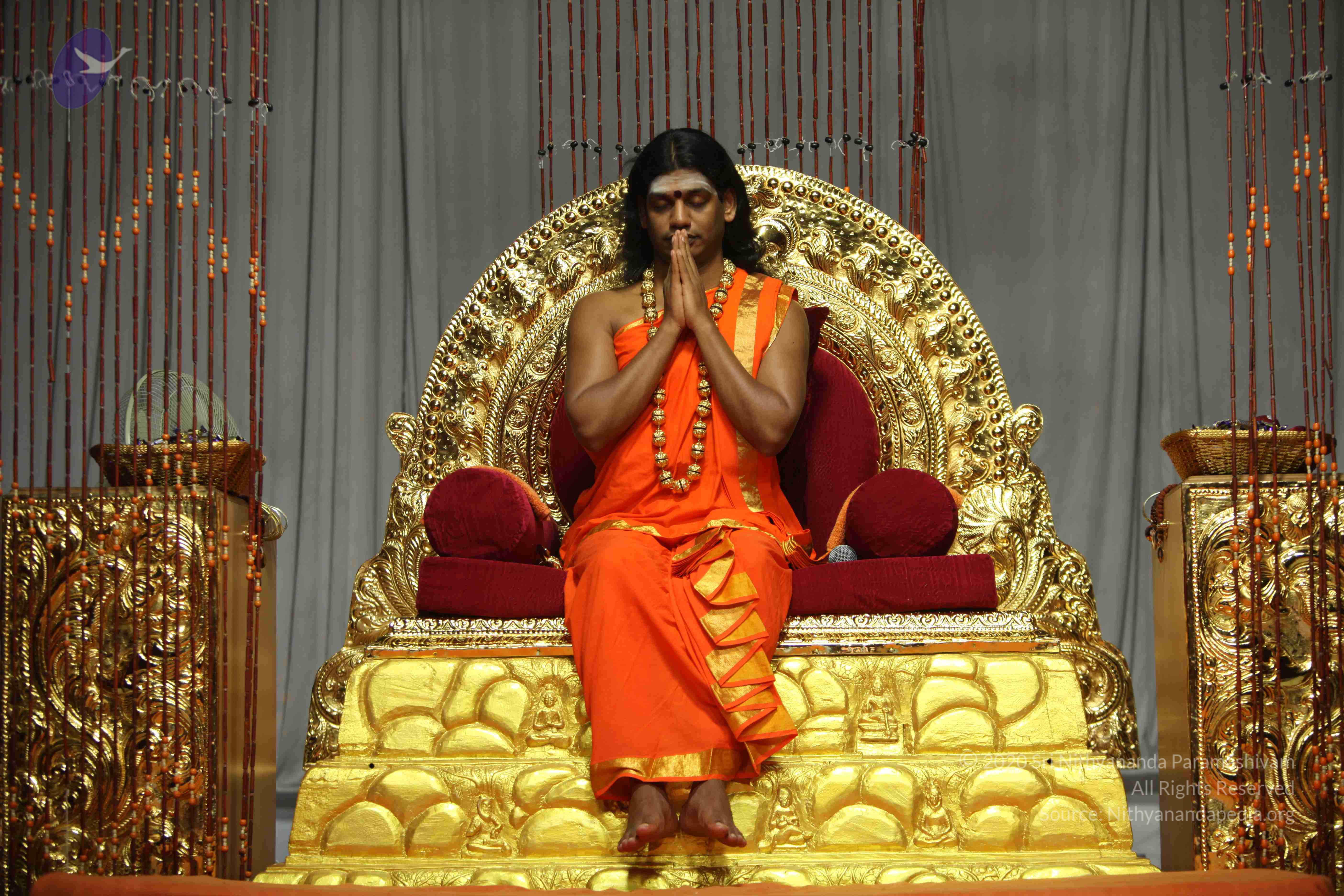 20110227_Photo_1204_IMG_9591_CMP_WM