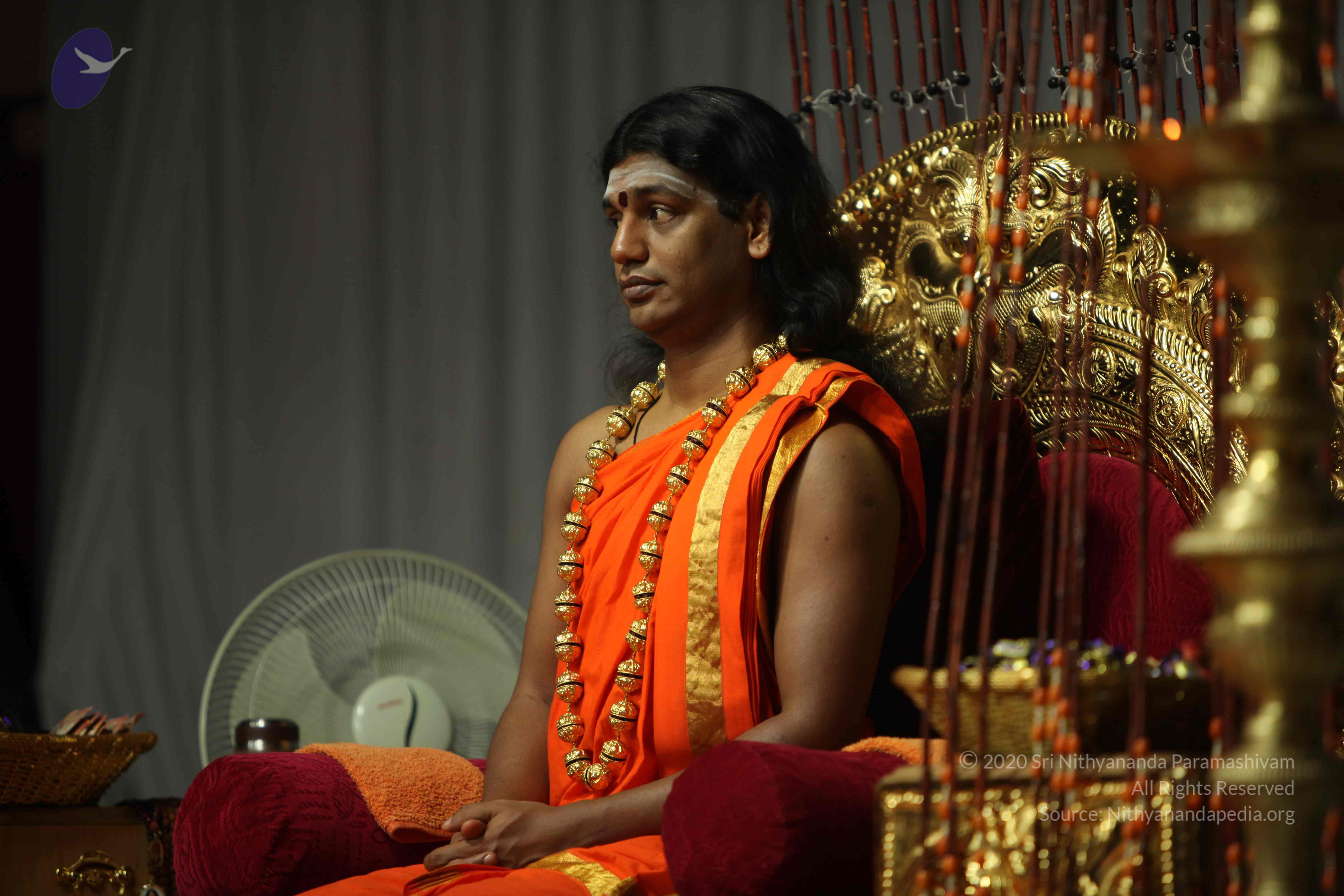 20110227_Photo_1241_IMG_9613_CMP_WM