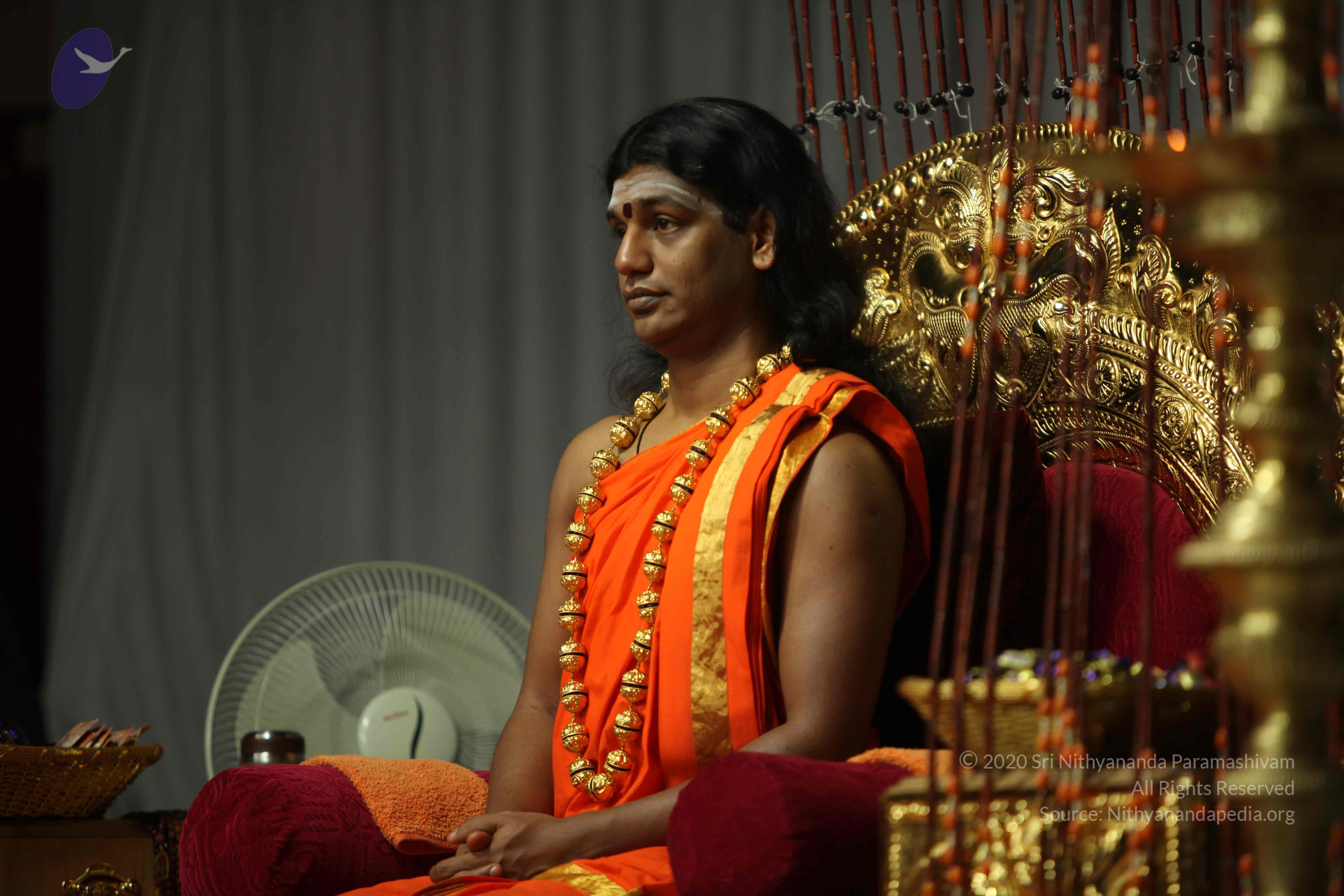 20110227_Photo_1341_IMG_9611_CMP_WM