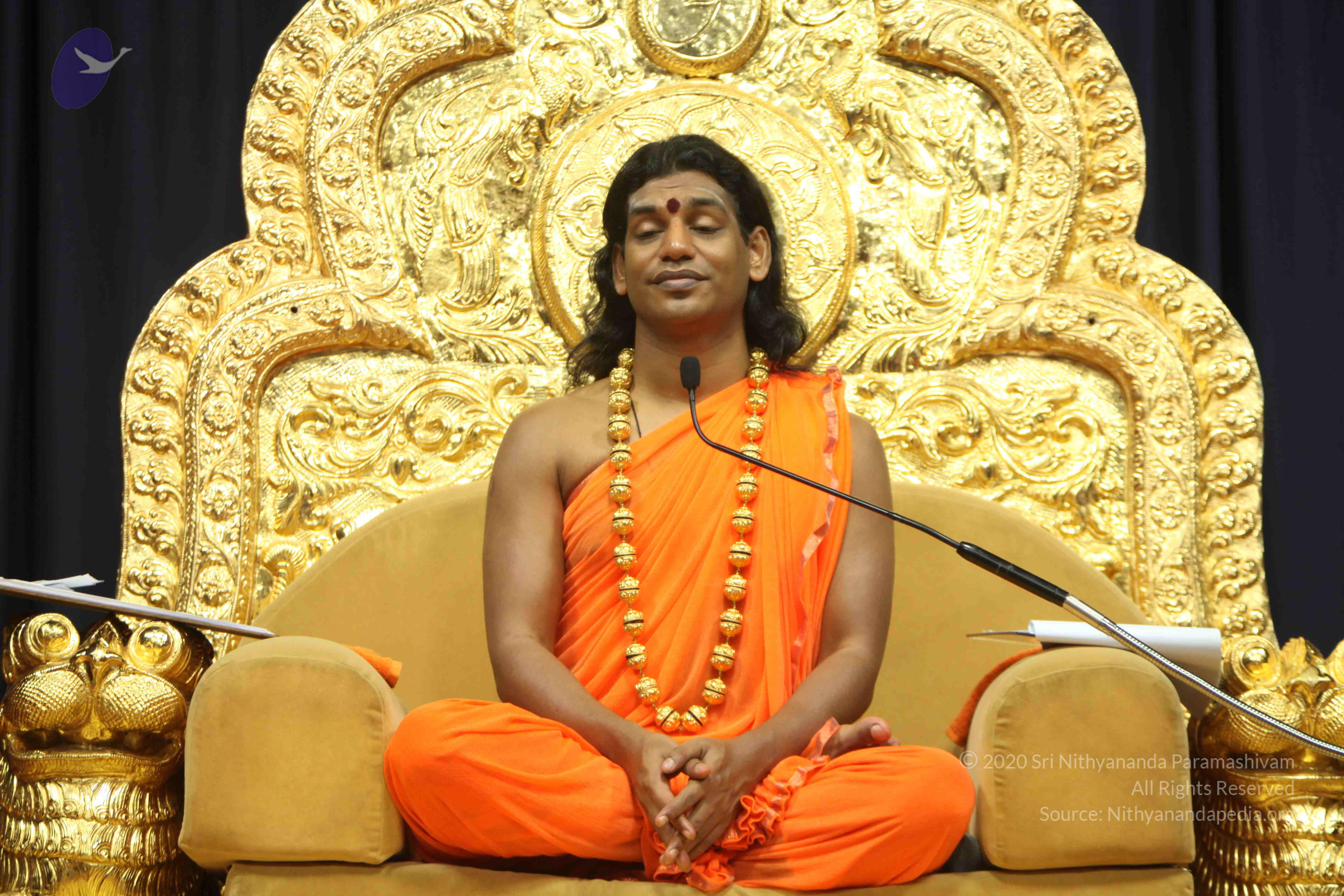 20110227_Photo_1010_IMG_9128_CMP_WM