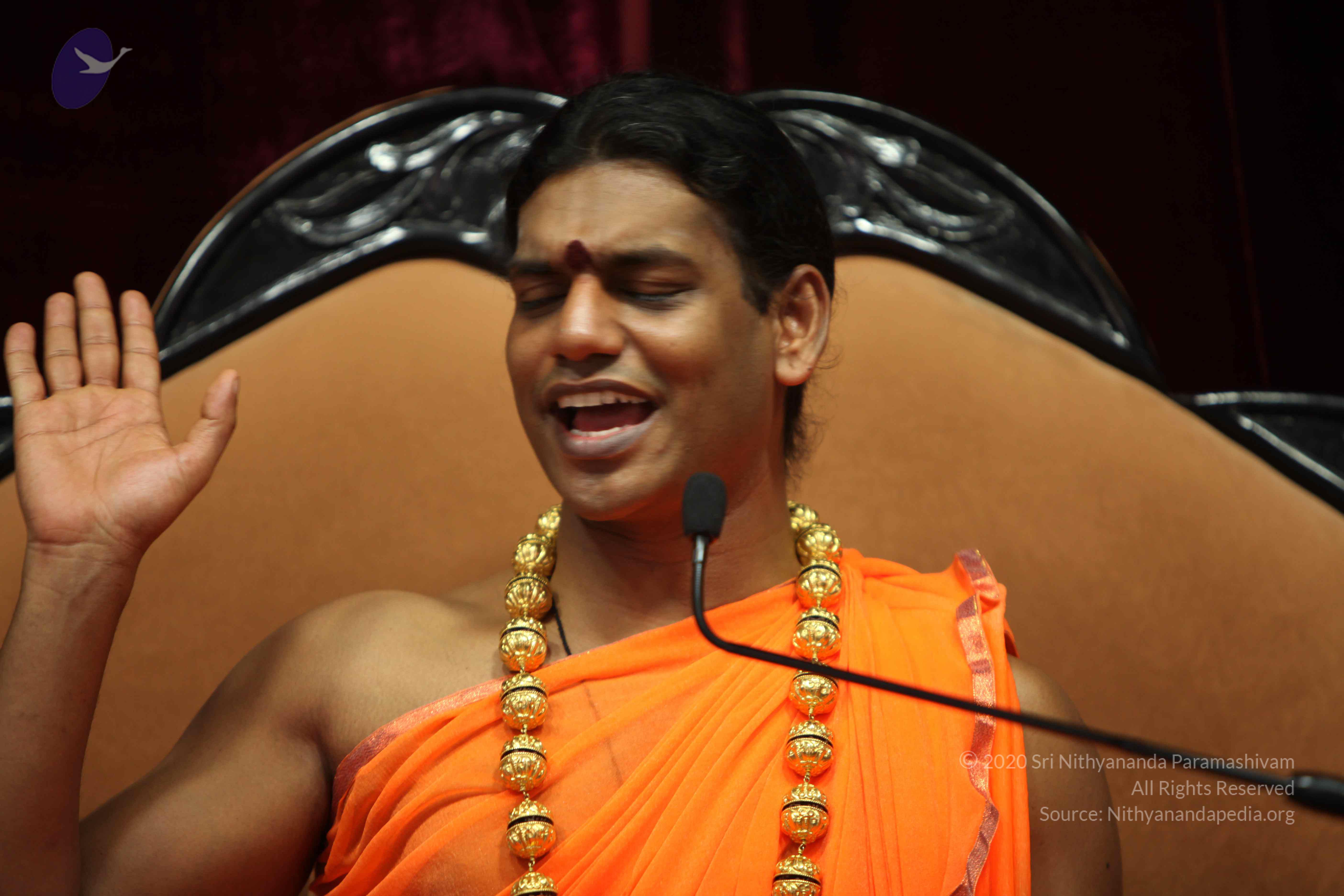 20110227_Photo_1011_IMG_9437_CMP_WM