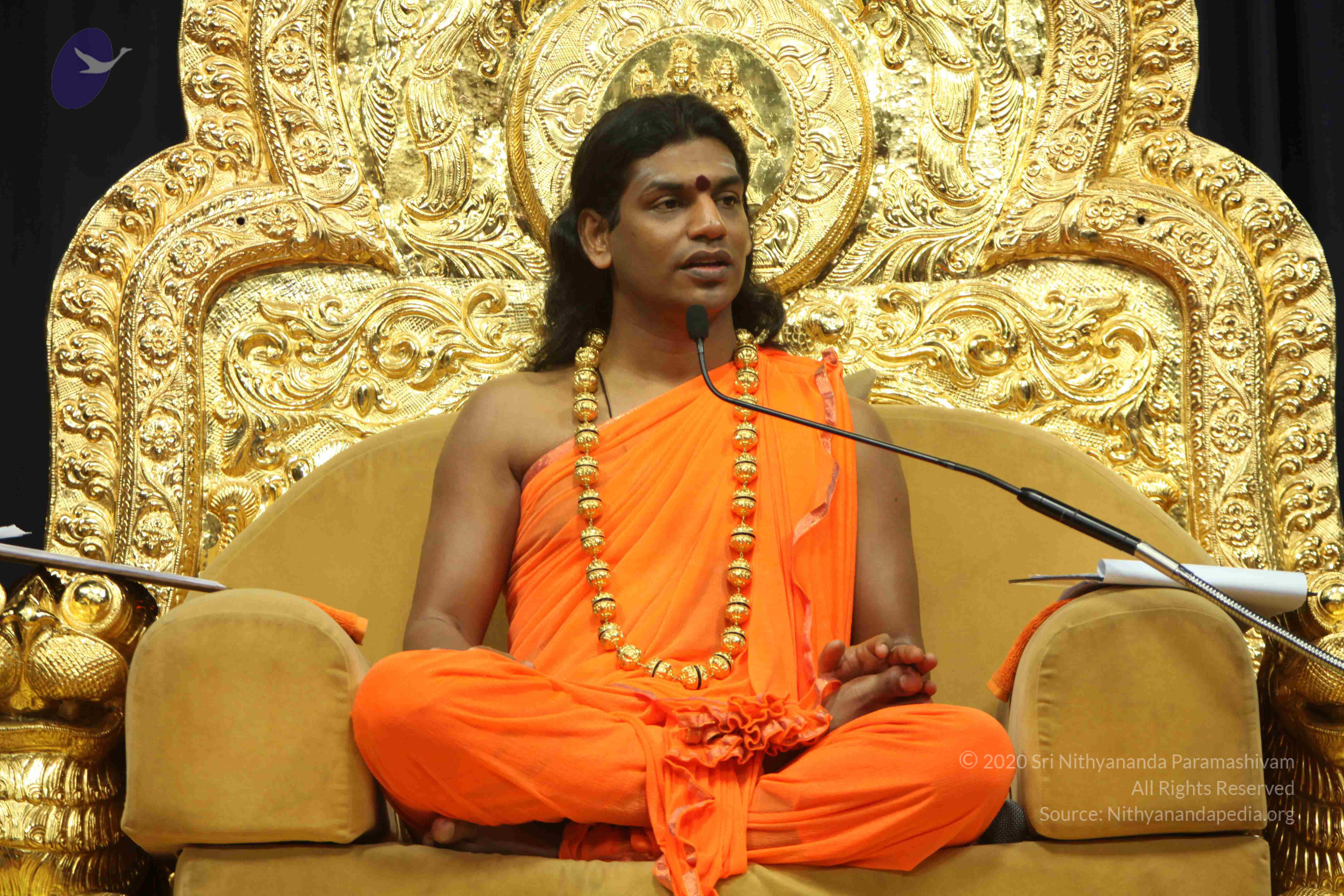 20110227_Photo_1311_IMG_9079_CMP_WM