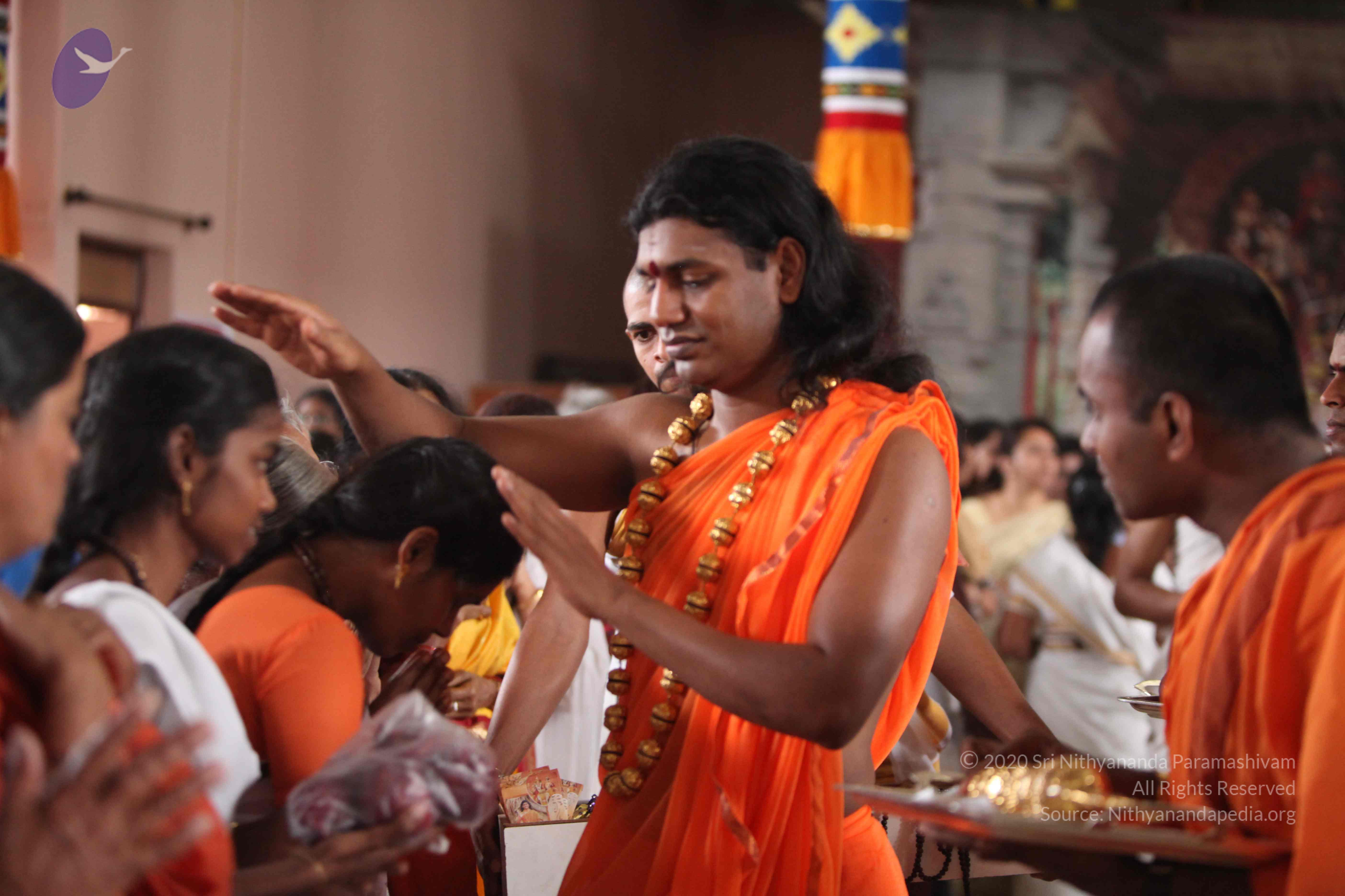 20110227_Photo_1039_IMG_9359_CMP_WM