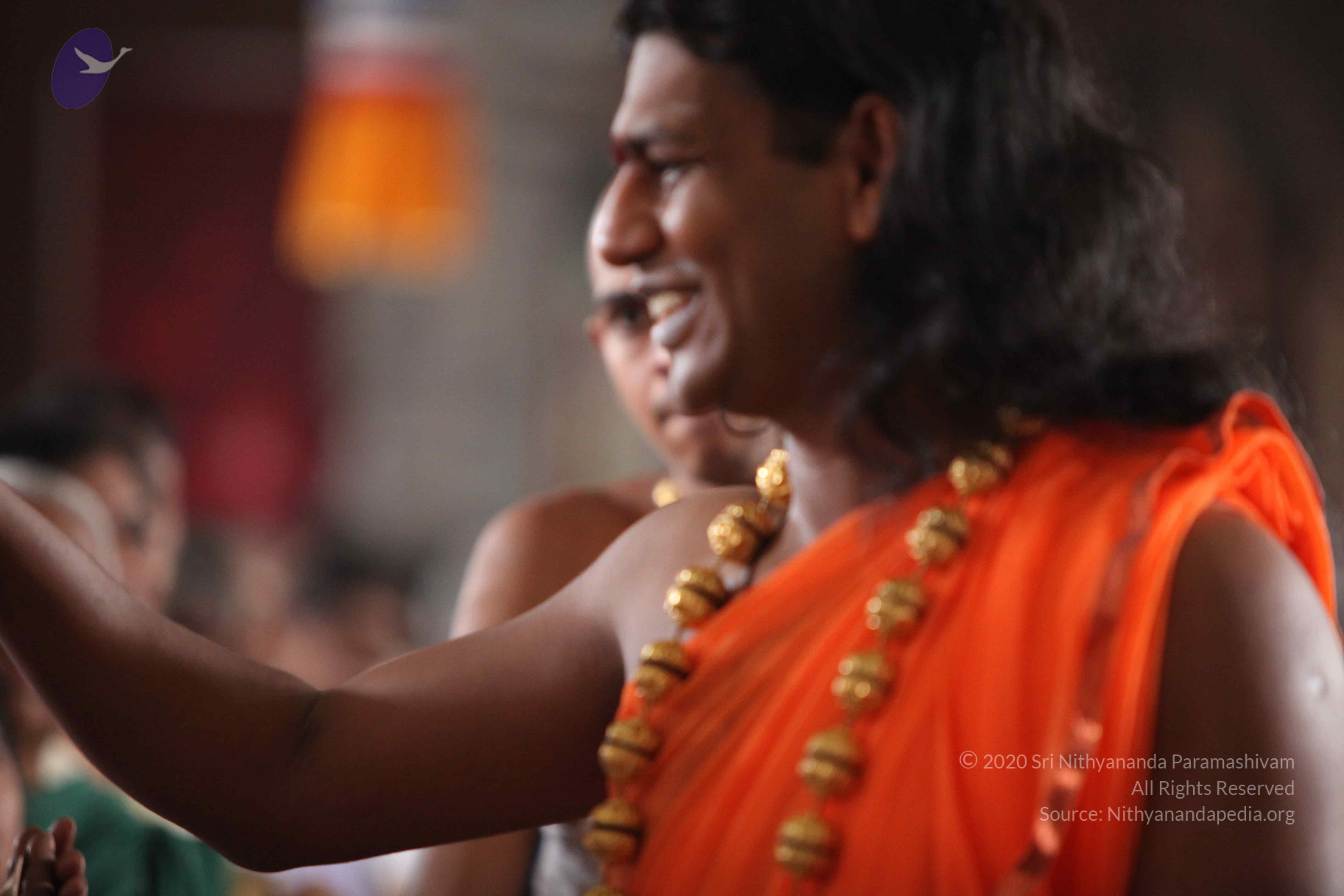 20110227_Photo_1048_IMG_9364_CMP_WM