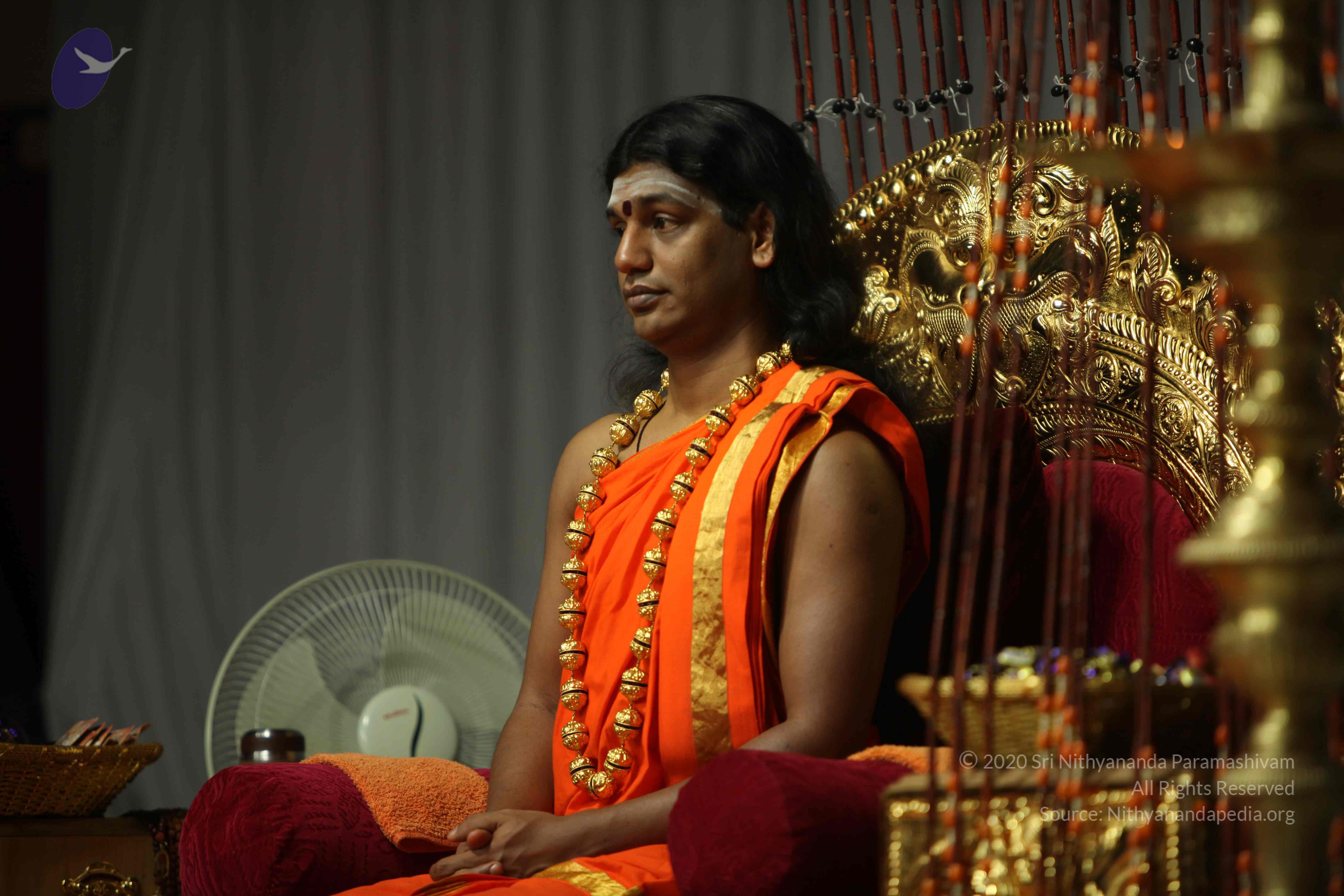 20110227_Photo_1026_IMG_9612_CMP_WM