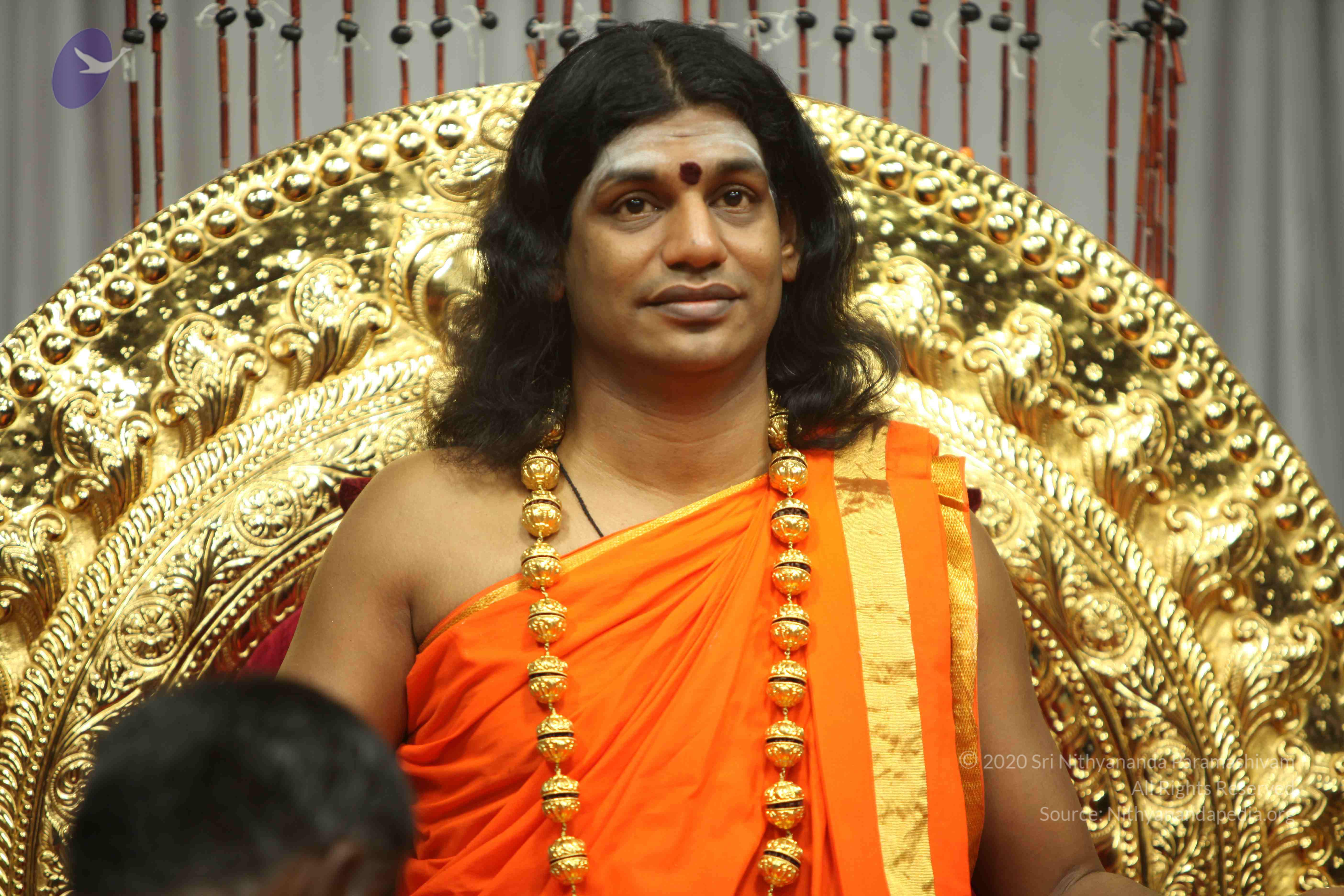 20110227_Photo_1048_IMG_9734_CMP_WM