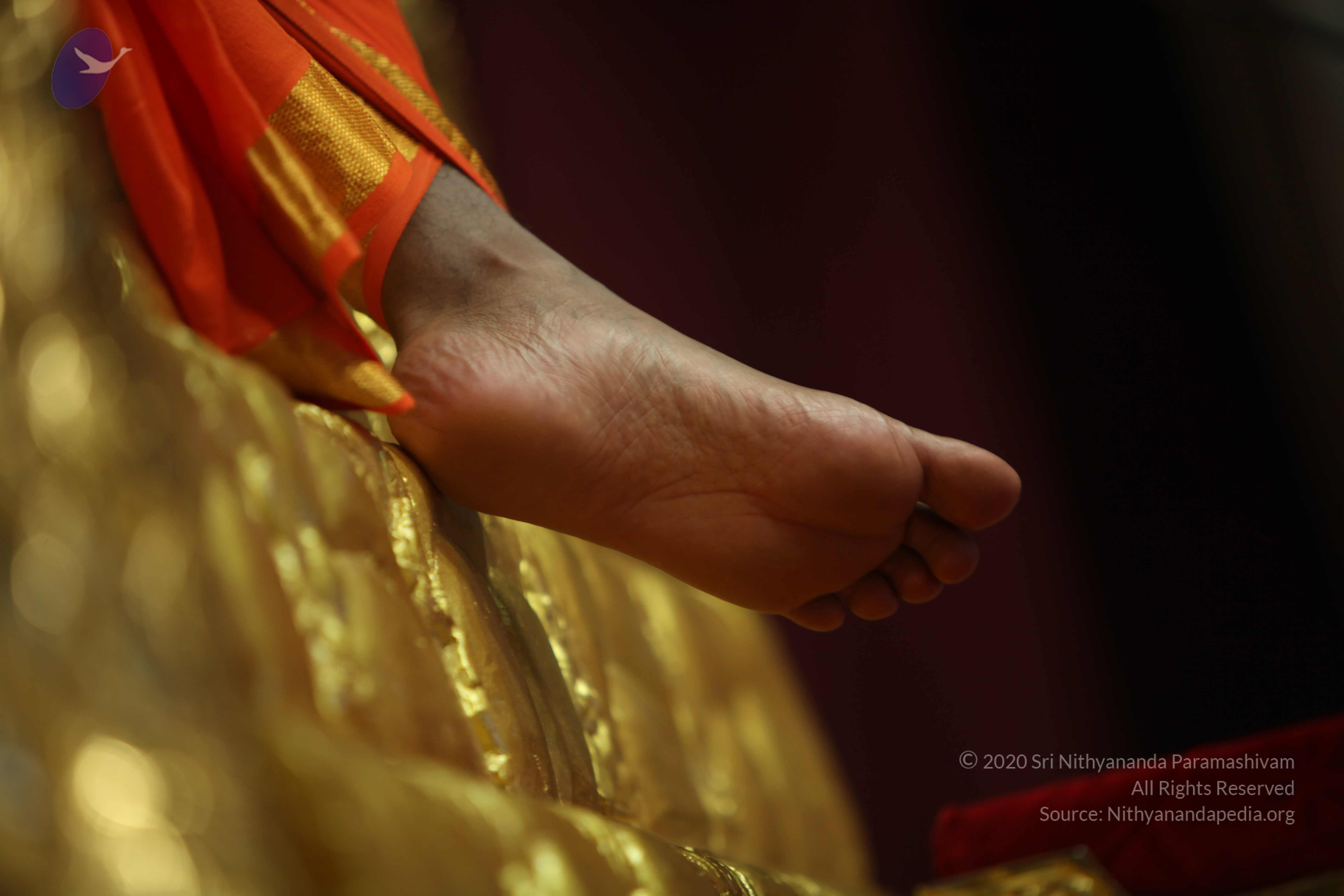 20110227_Photo_1079_IMG_9897_CMP_WM