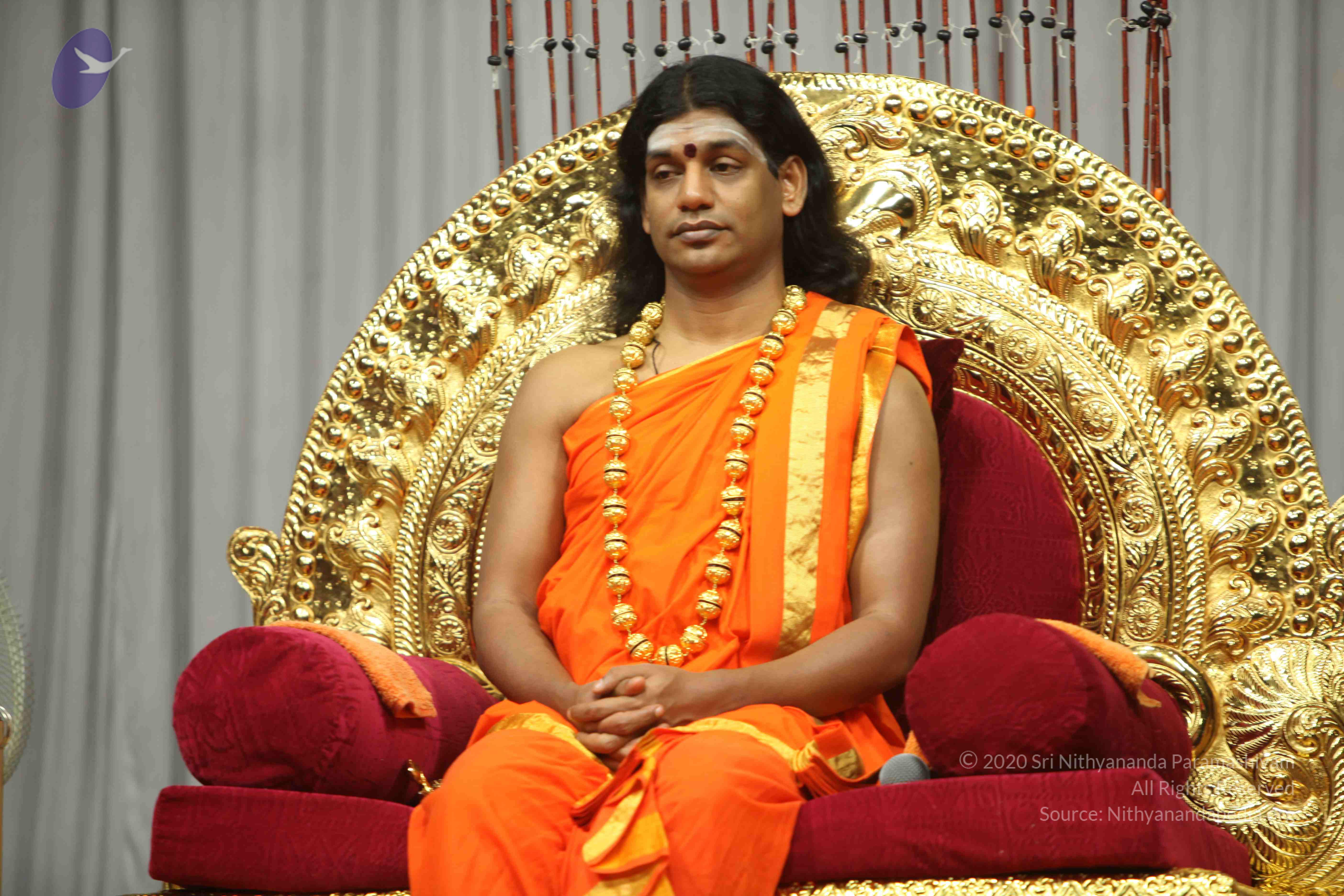 20110227_Photo_1119_IMG_9645_CMP_WM