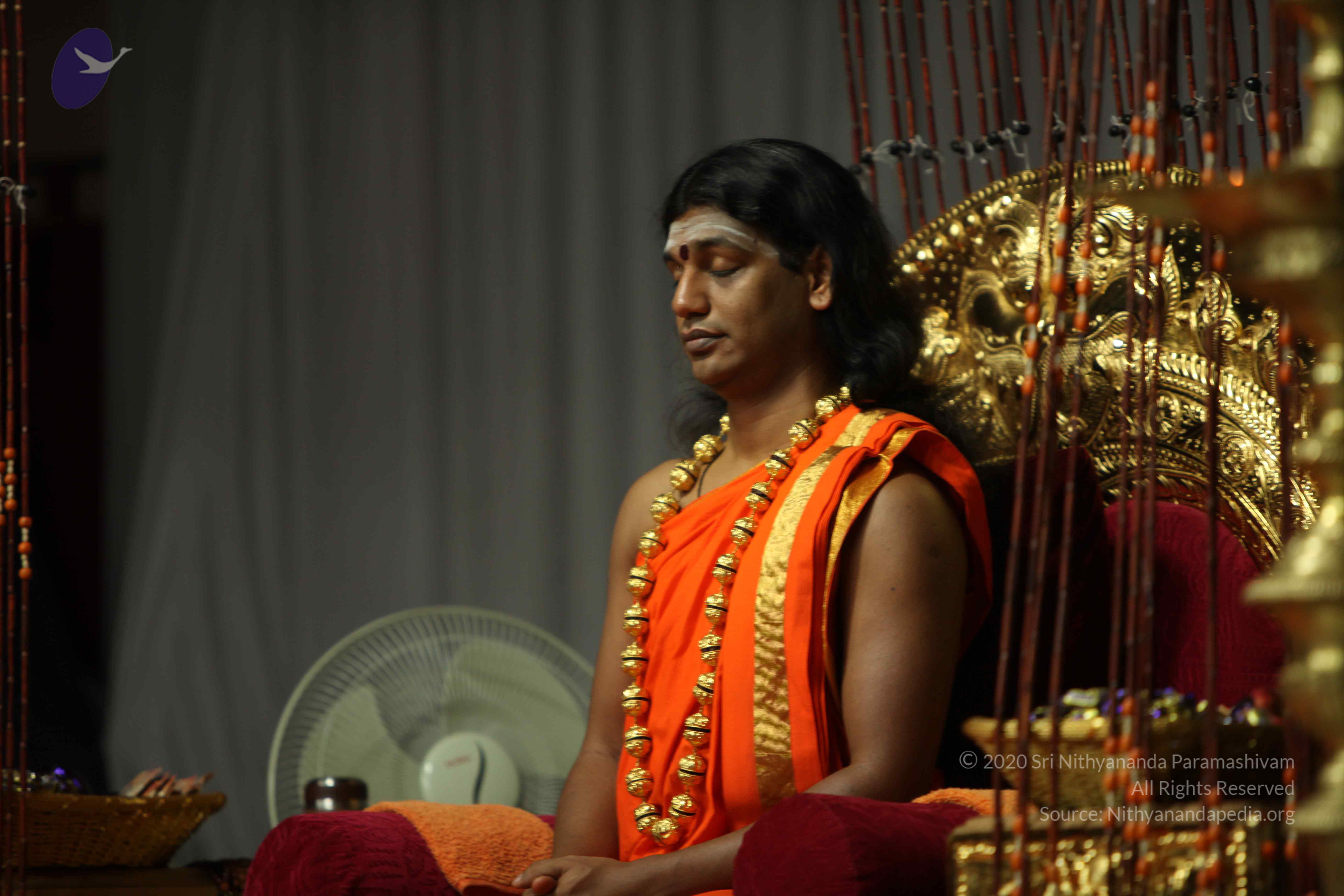 20110227_Photo_1122_IMG_9610_CMP_WM