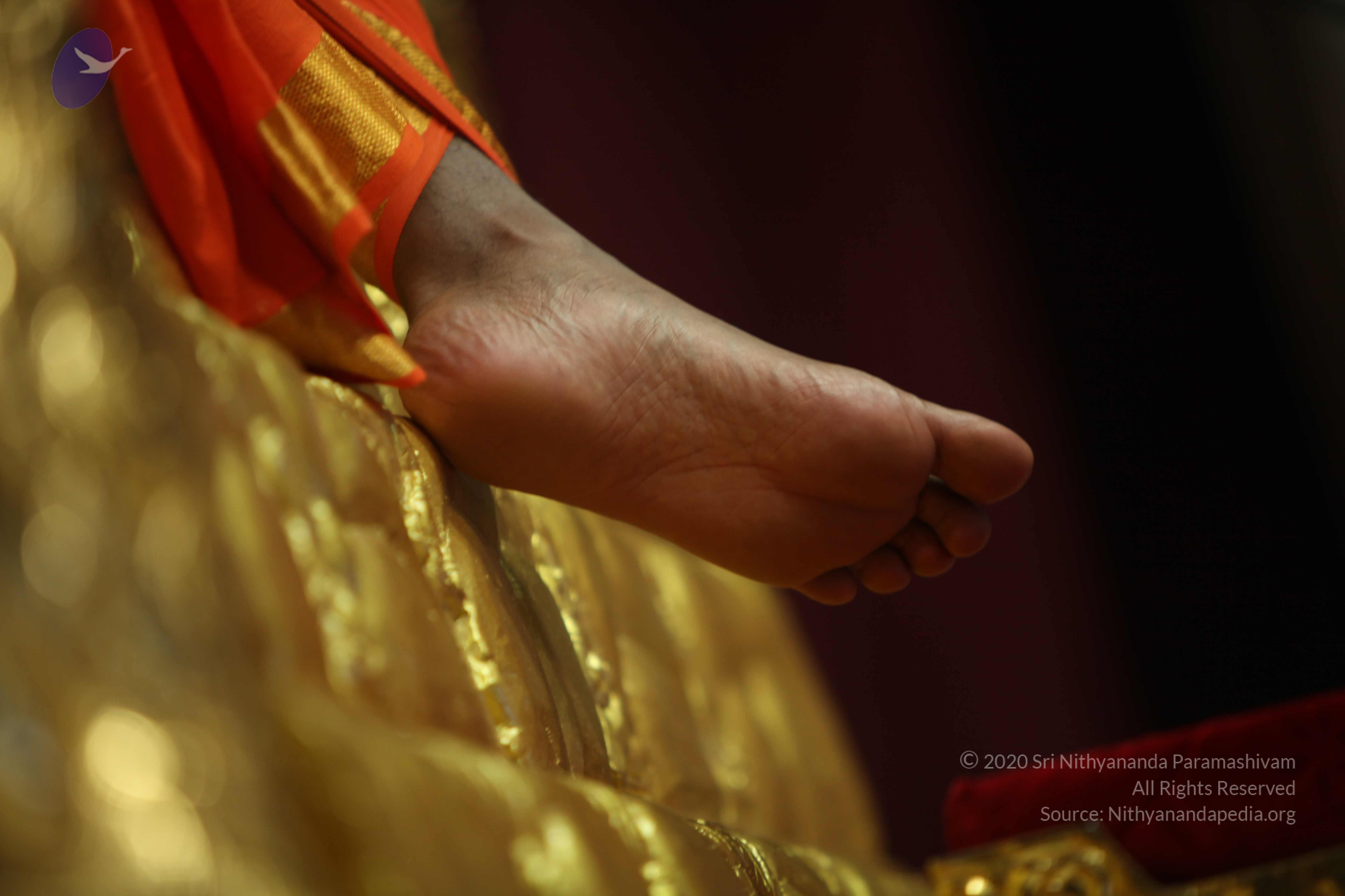 20110227_Photo_1136_IMG_9898_CMP_WM