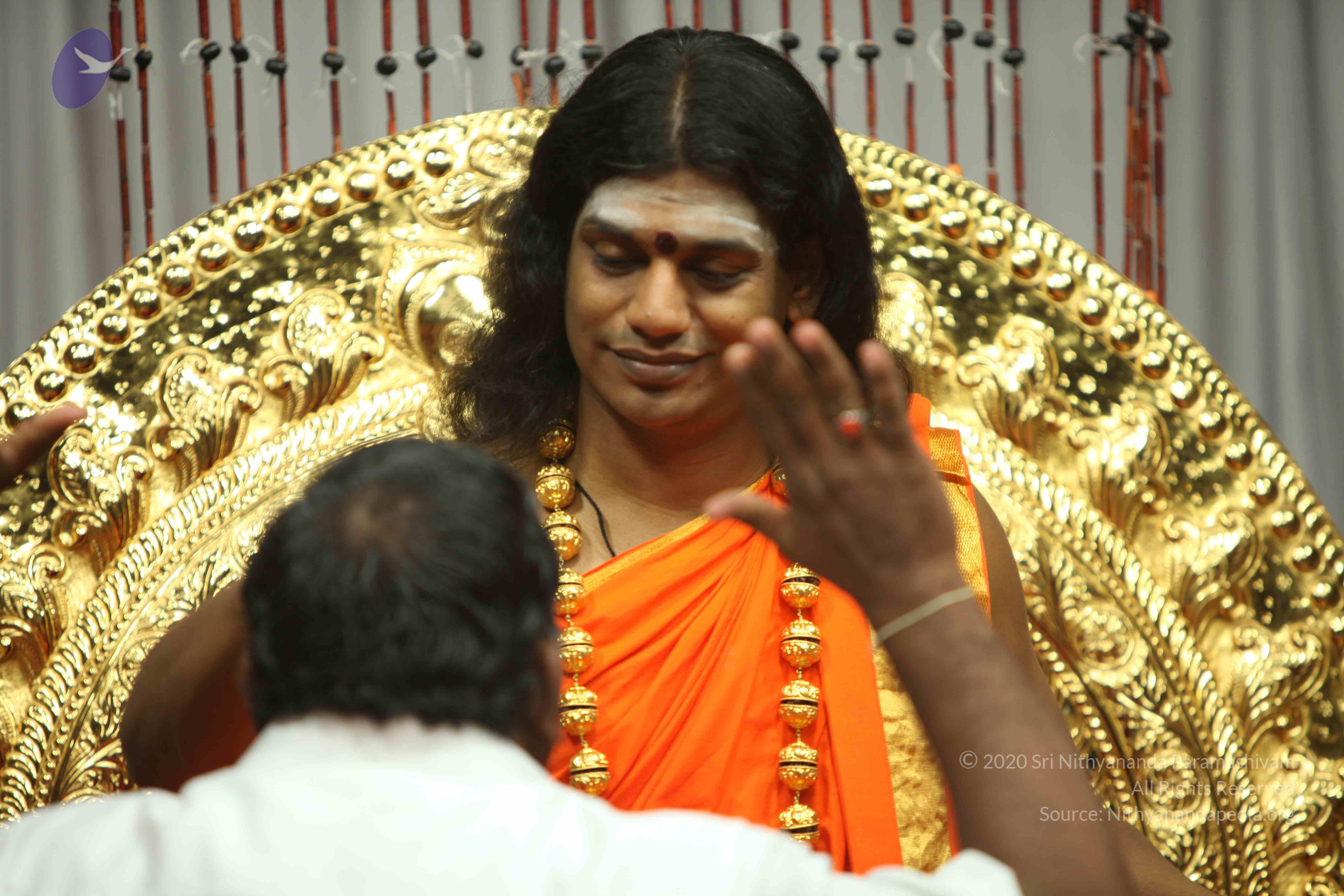 20110227_Photo_1148_IMG_9701_CMP_WM