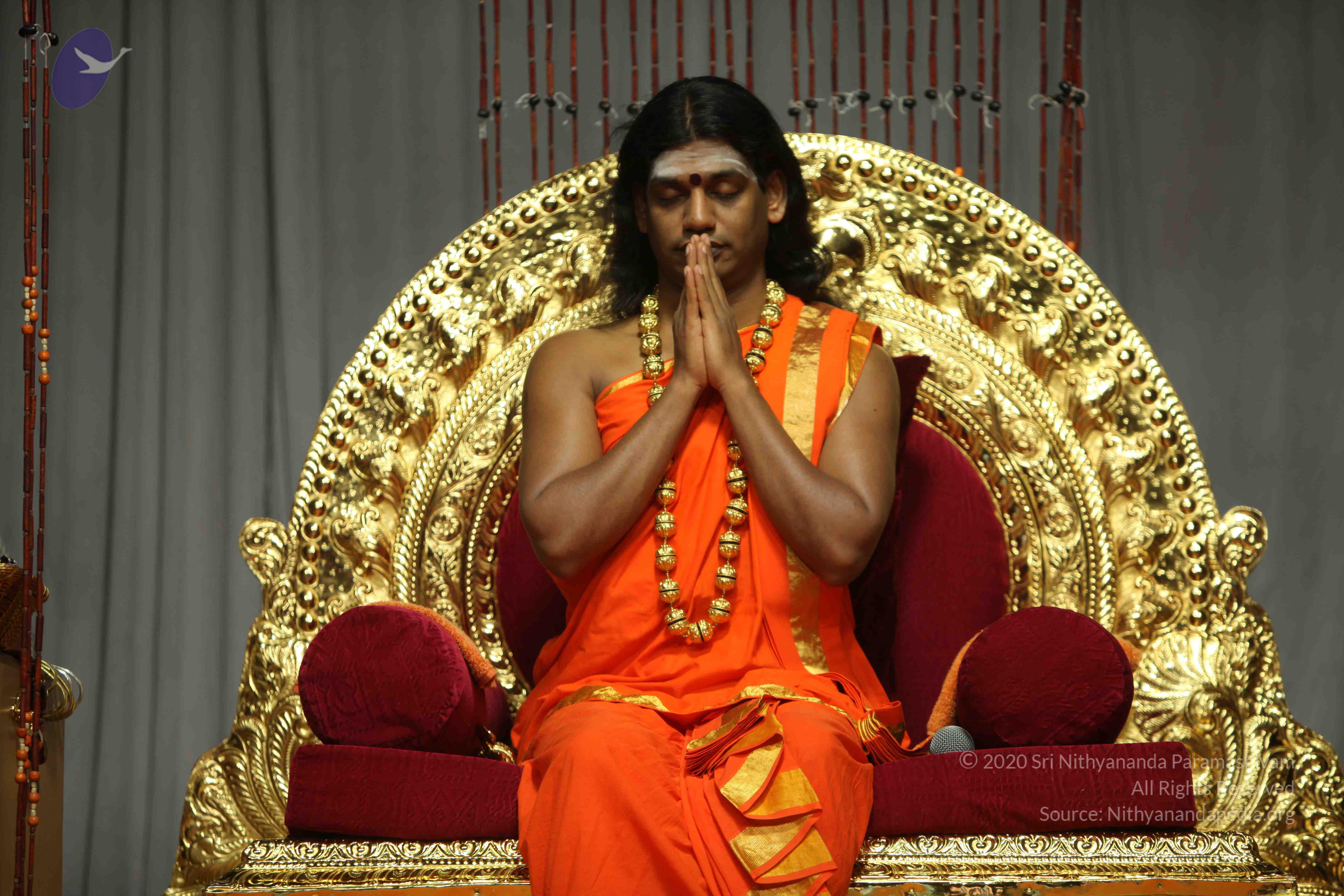 20110227_Photo_1159_IMG_9592_CMP_WM