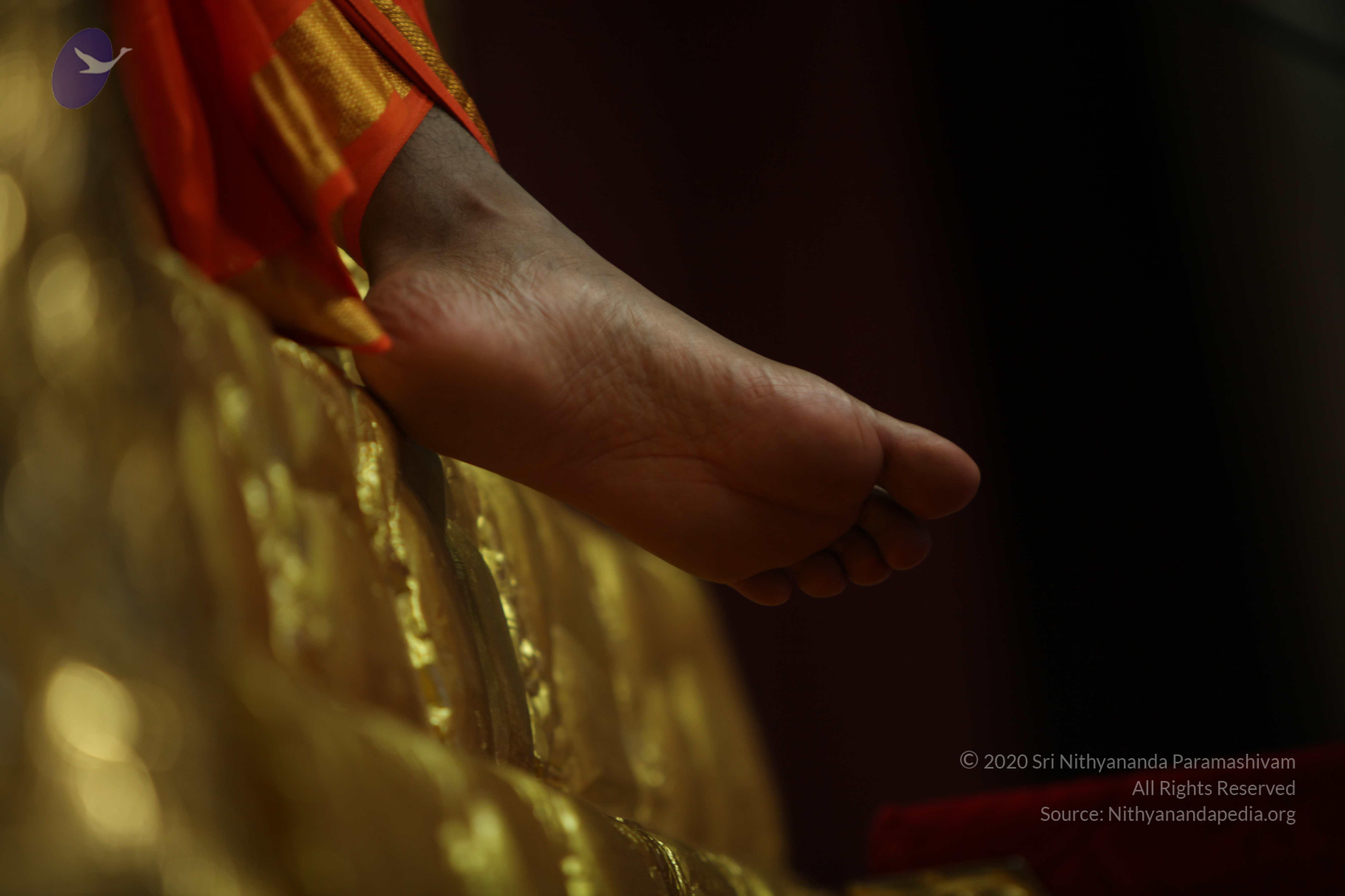 20110227_Photo_1211_IMG_9896_CMP_WM