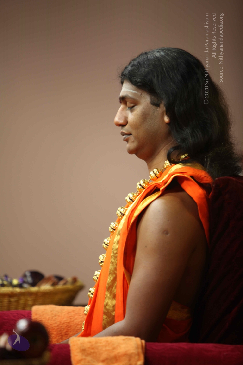 20110227_Photo_1215_IMG_9629_CMP_WM