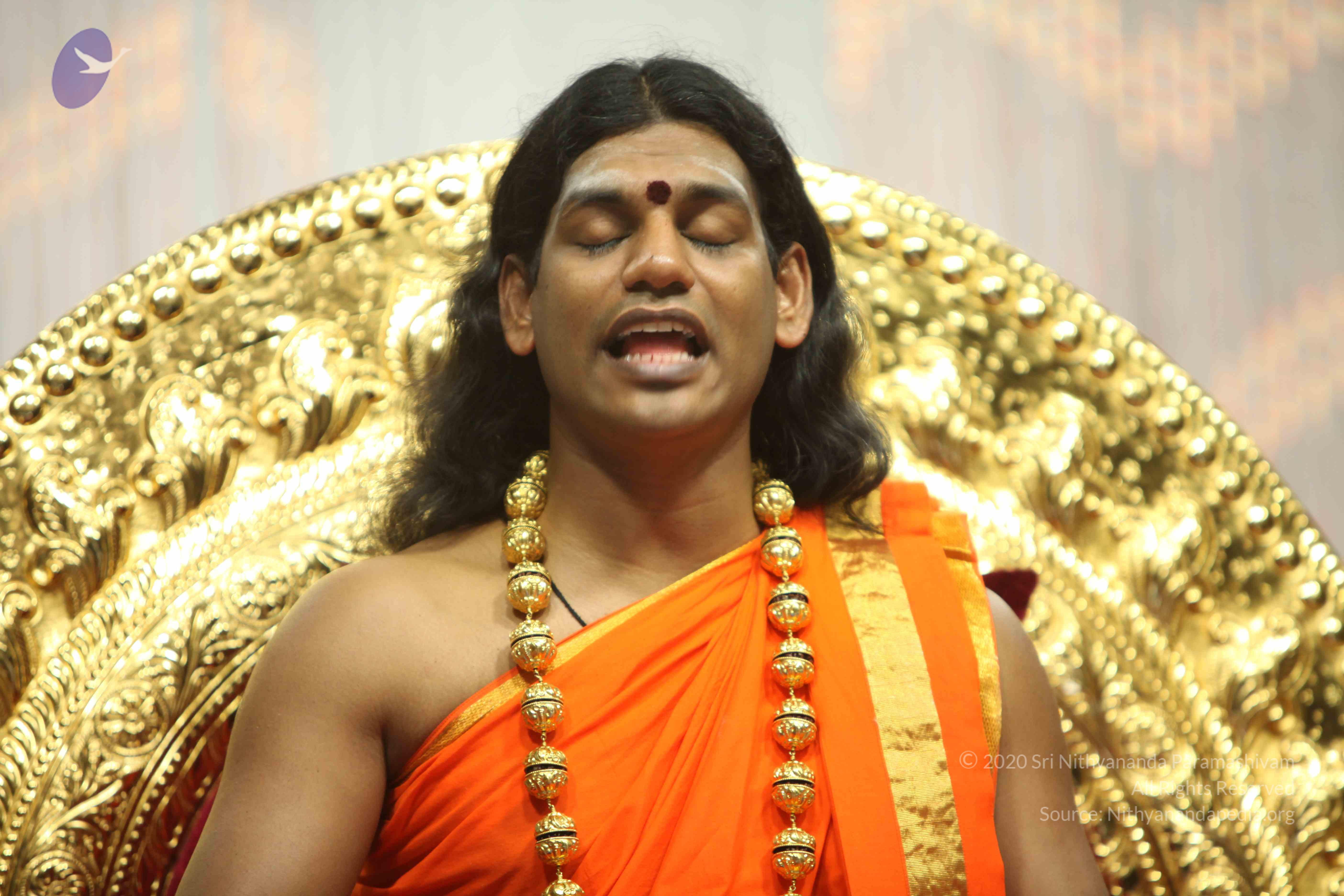 20110227_Photo_1217_IMG_9797_CMP_WM