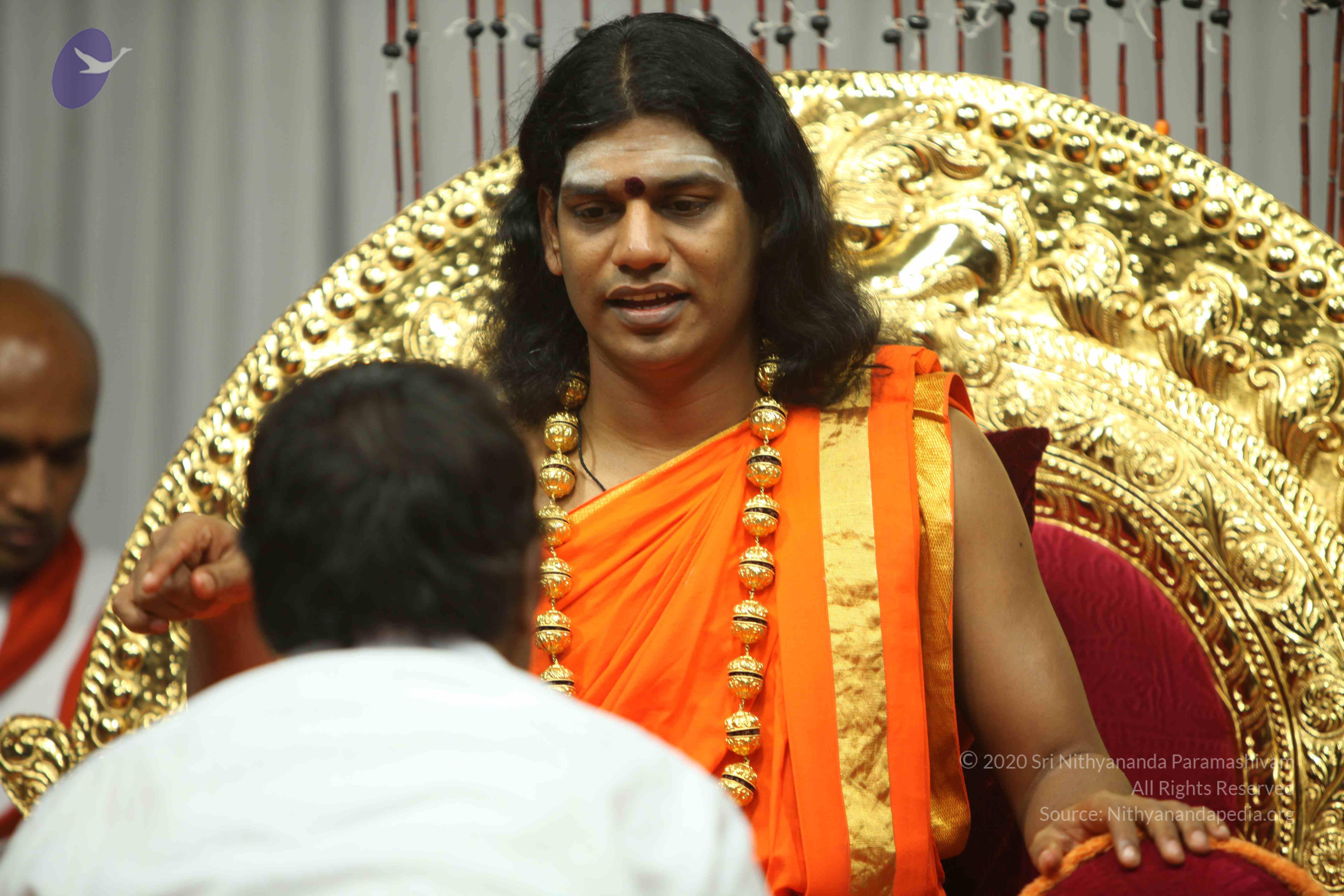 20110227_Photo_1239_IMG_9752_CMP_WM