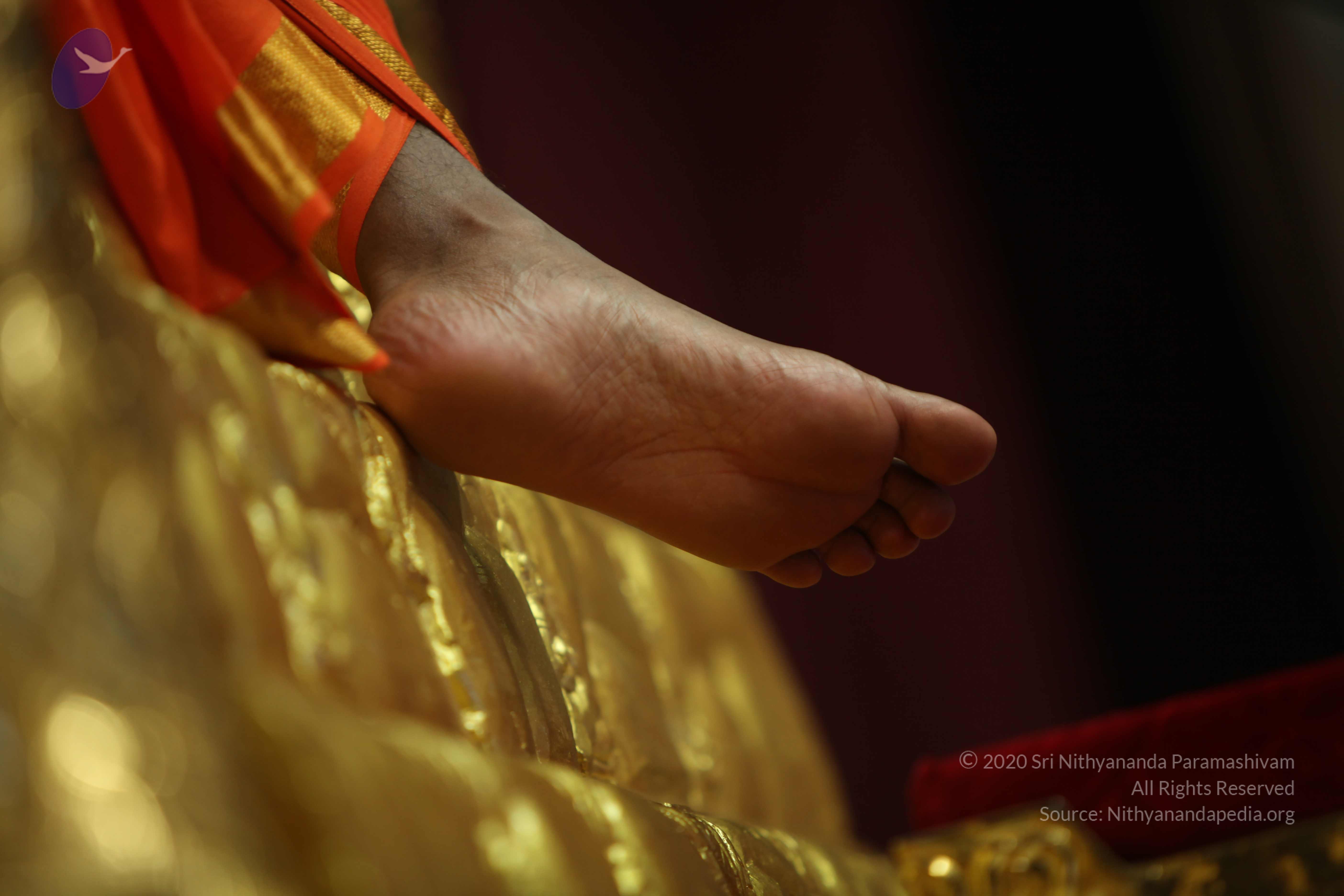 20110227_Photo_1256_IMG_9899_CMP_WM