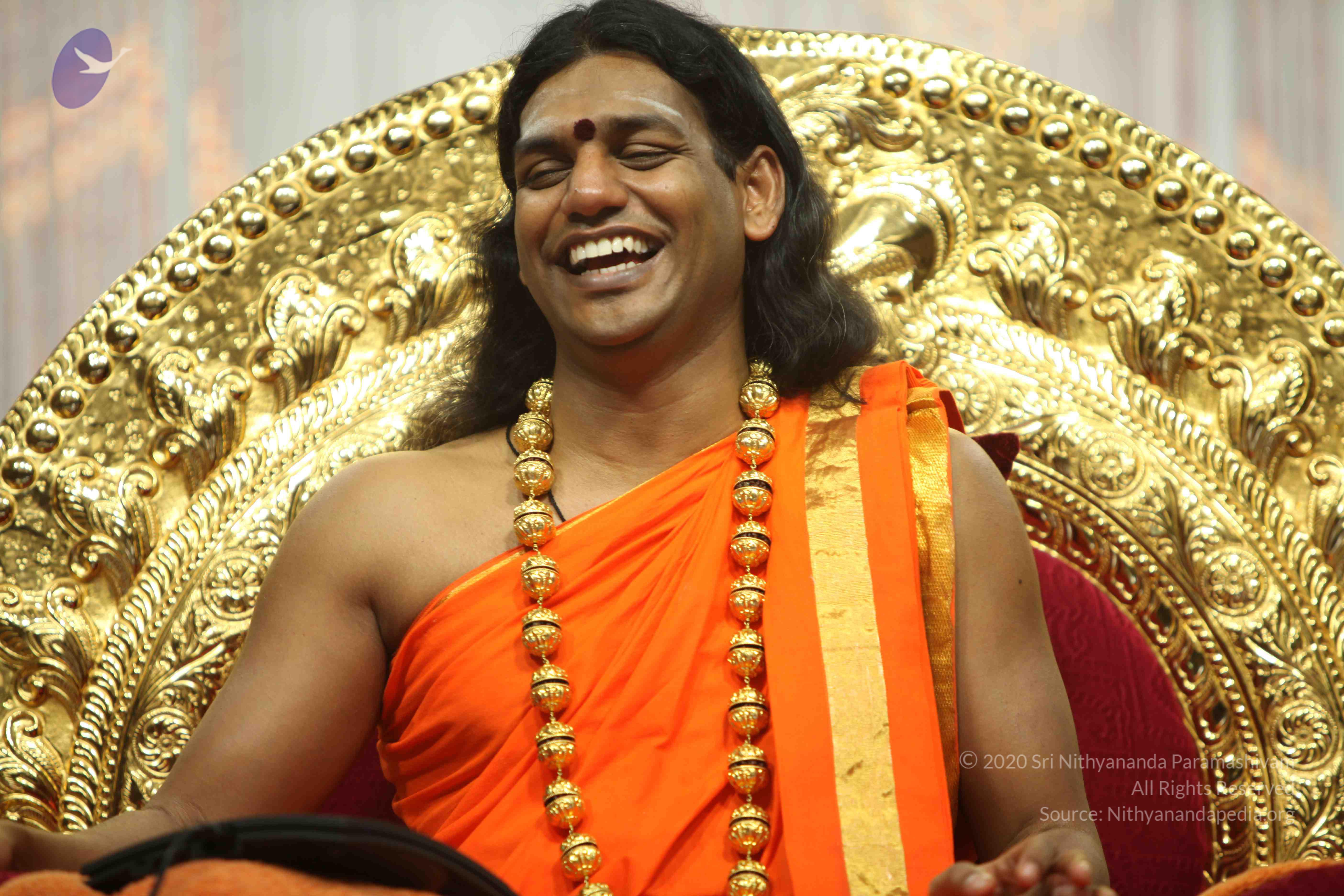 20110227_Photo_1259_IMG_9833_CMP_WM