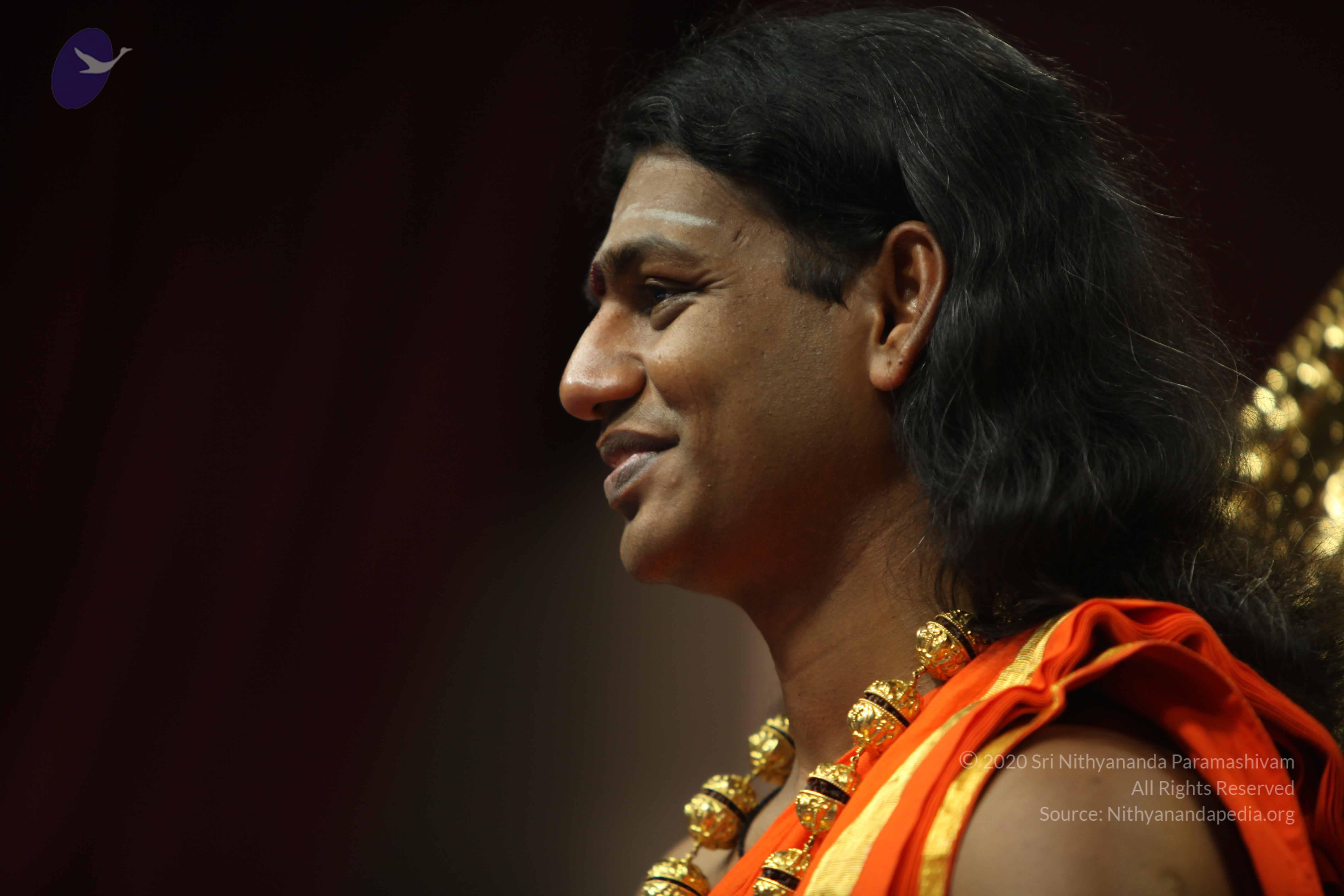 20110227_Photo_1261_IMG_9781_CMP_WM