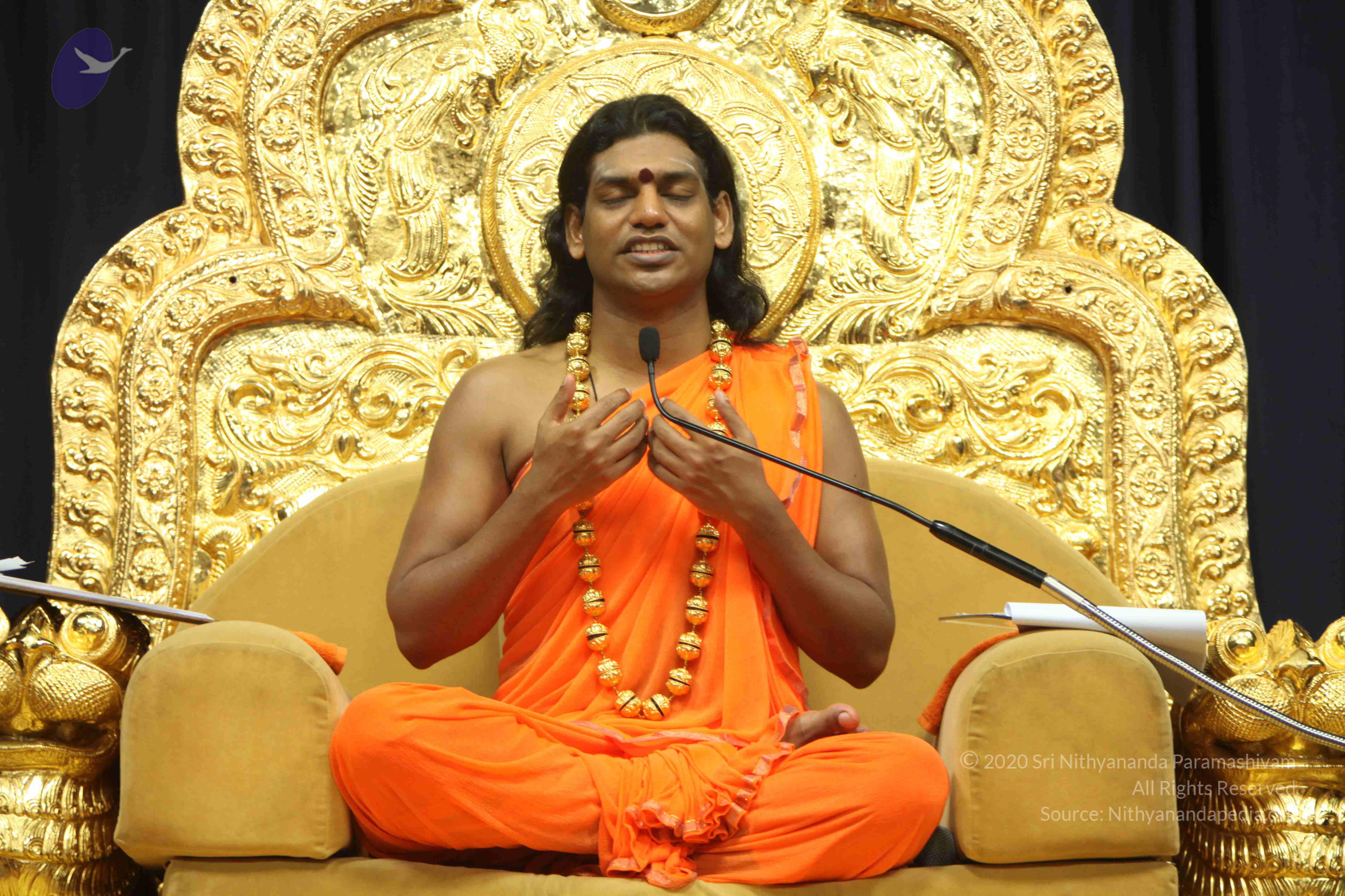 20110227_Photo_1002_IMG_9182_CMP_WM