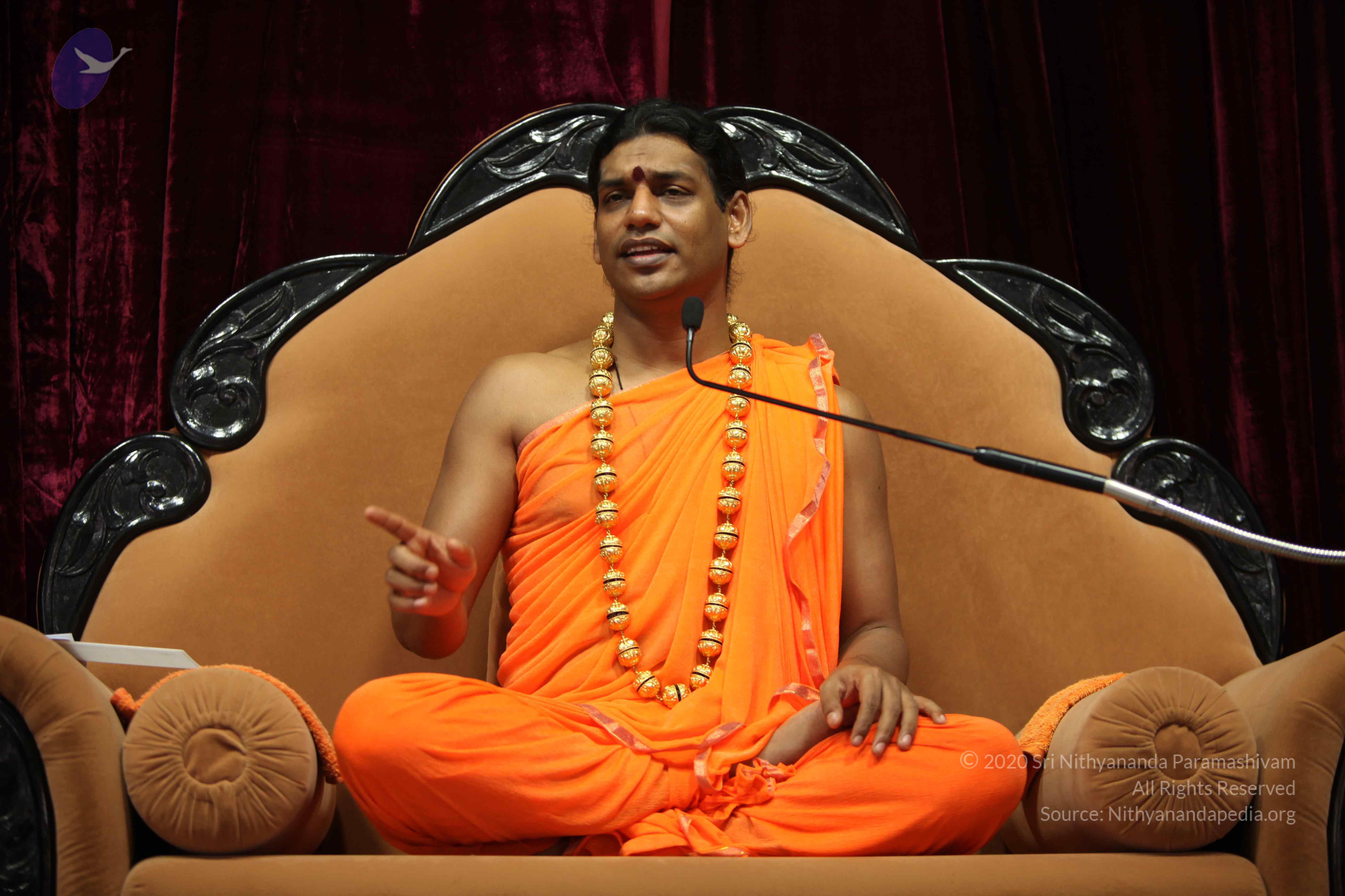 20110227_Photo_1003_IMG_9455_CMP_WM