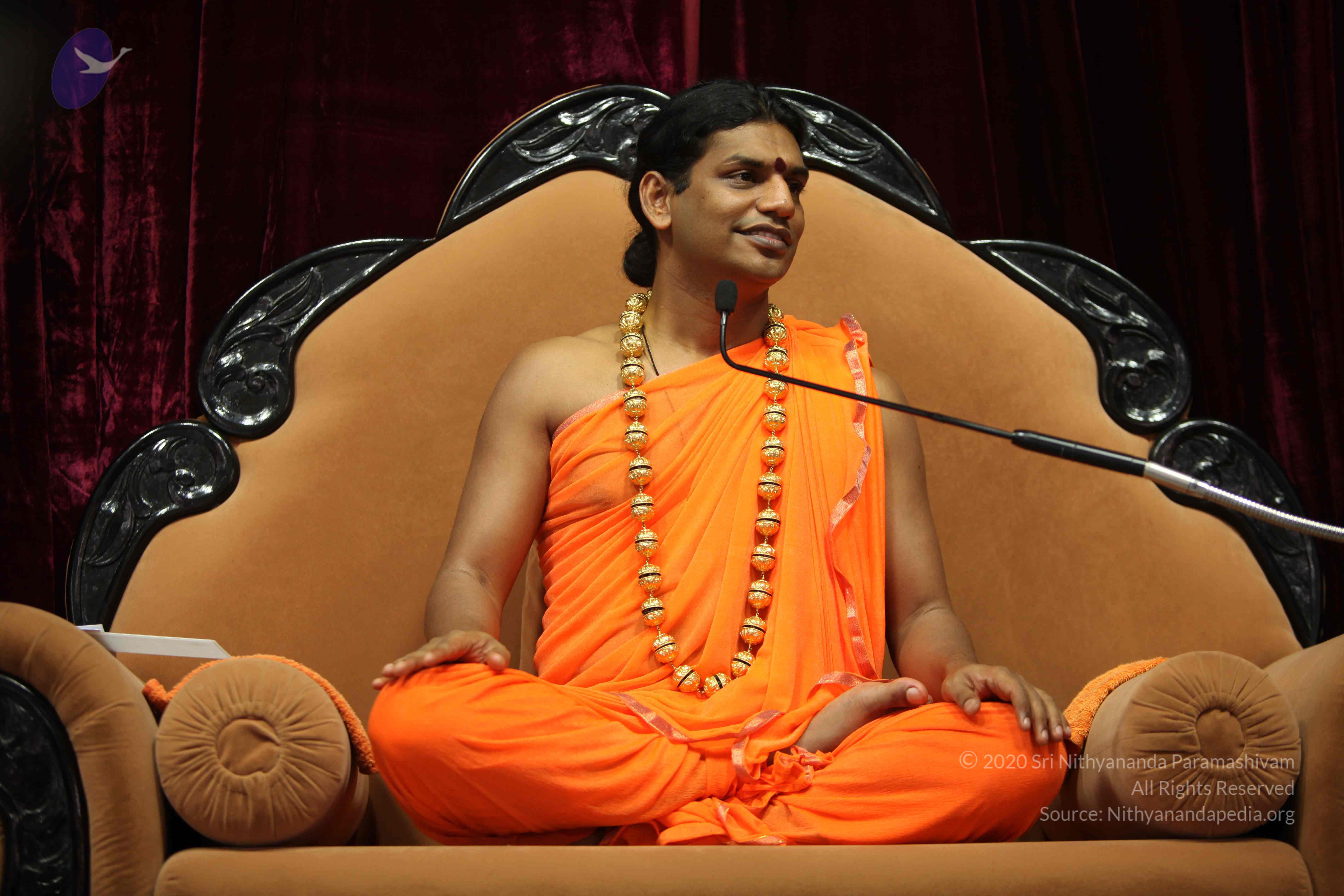 20110227_Photo_1004_IMG_9462_CMP_WM