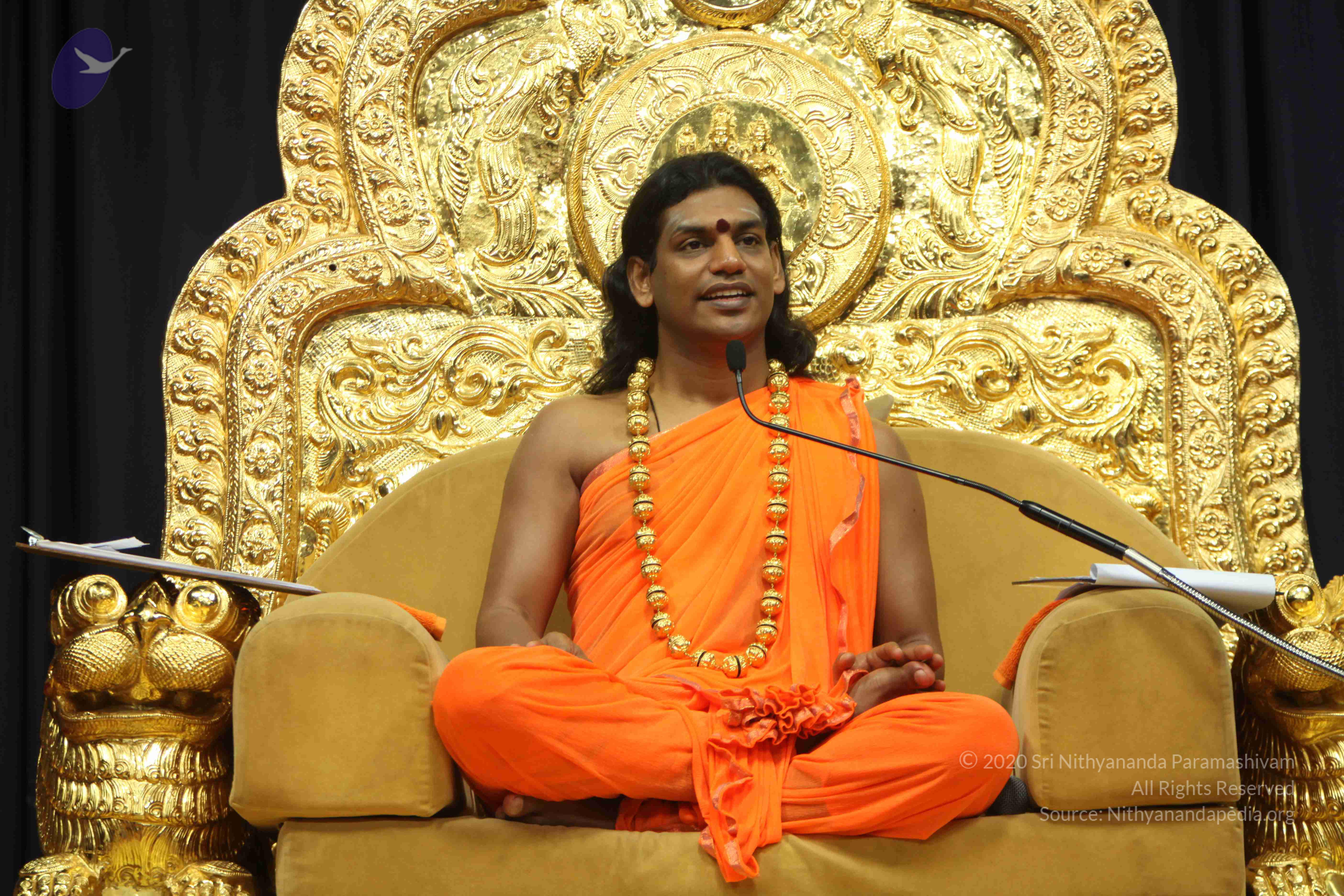 20110227_Photo_1009_IMG_9069_CMP_WM